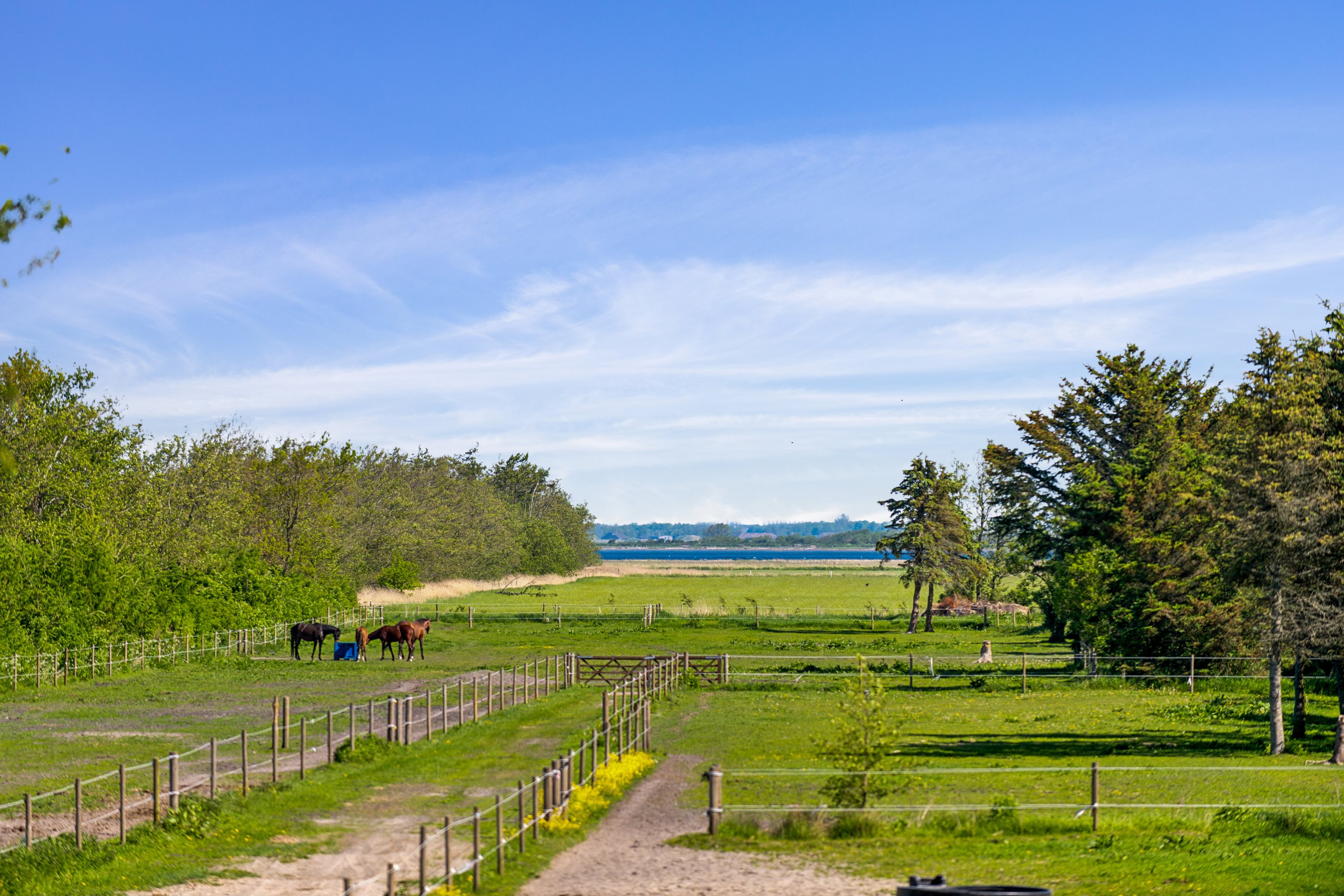 Fremhævet ejendom 1 billede i fuldskærmstilstand. Billede af Nørholmsvej 194, 9000 Aalborg
