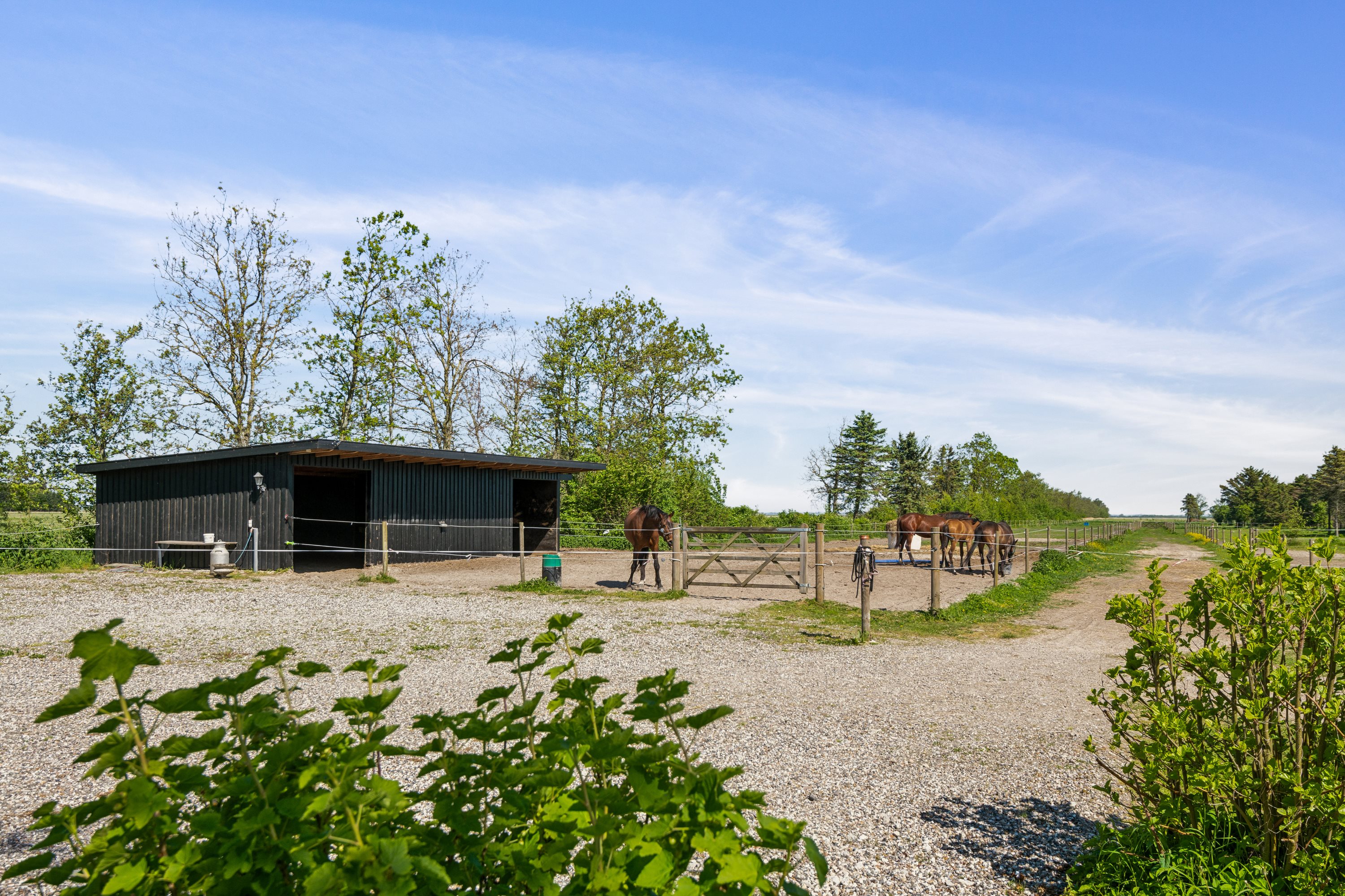 Fremhævet ejendom 1 billede i fuldskærmstilstand. Billede af Nørholmsvej 194, 9000 Aalborg