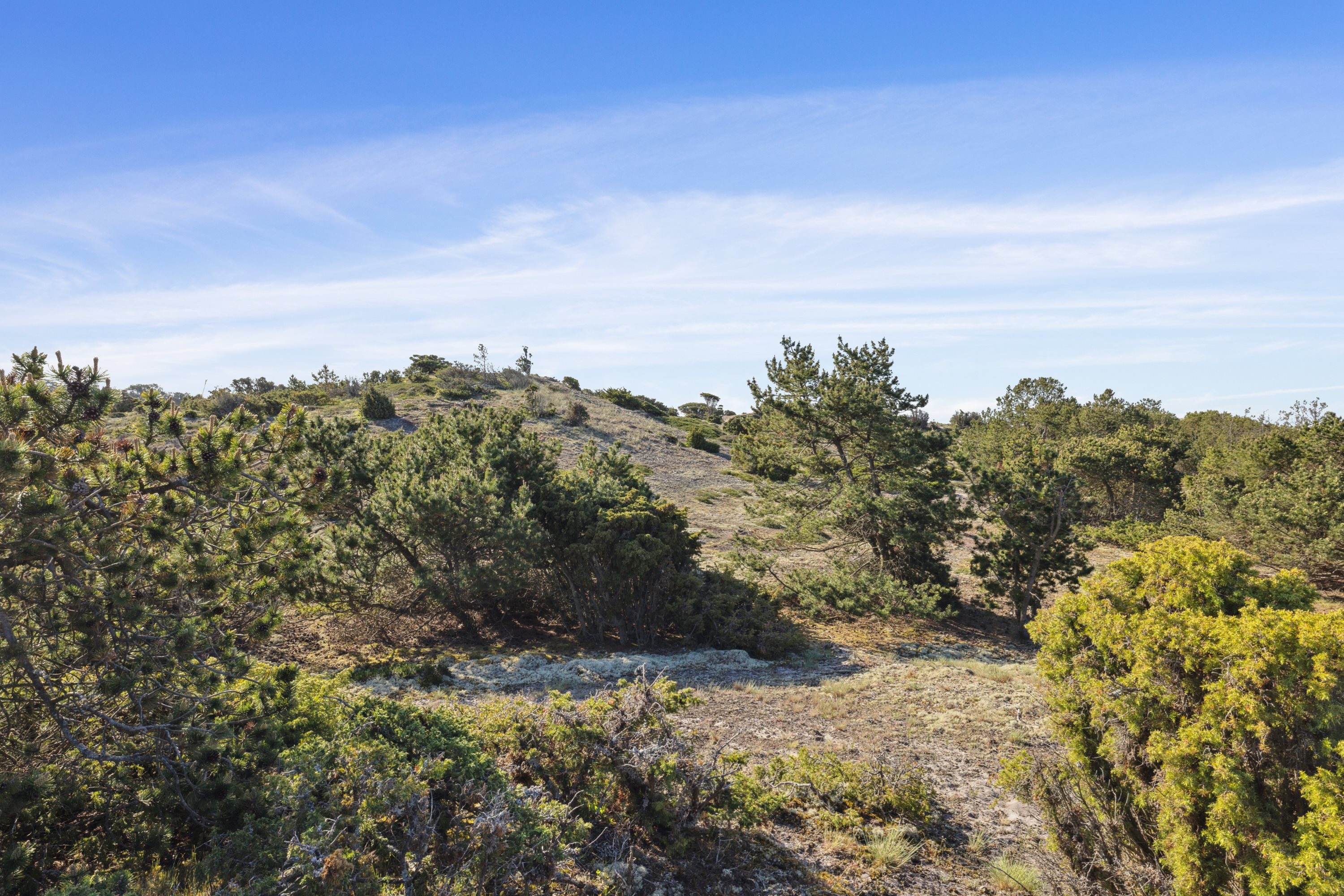 Fremhævet udsigt billede i fuldskærmstilstand. Billede af Kistehøjvej 11, 8592 Anholt