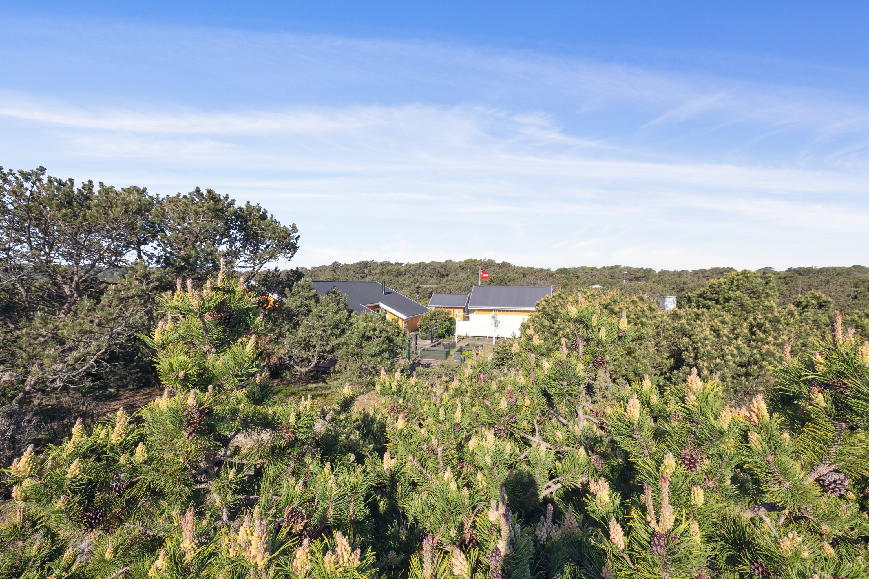 Fremhævet udsigt billede i fuldskærmstilstand. Billede af Kistehøjvej 11, 8592 Anholt