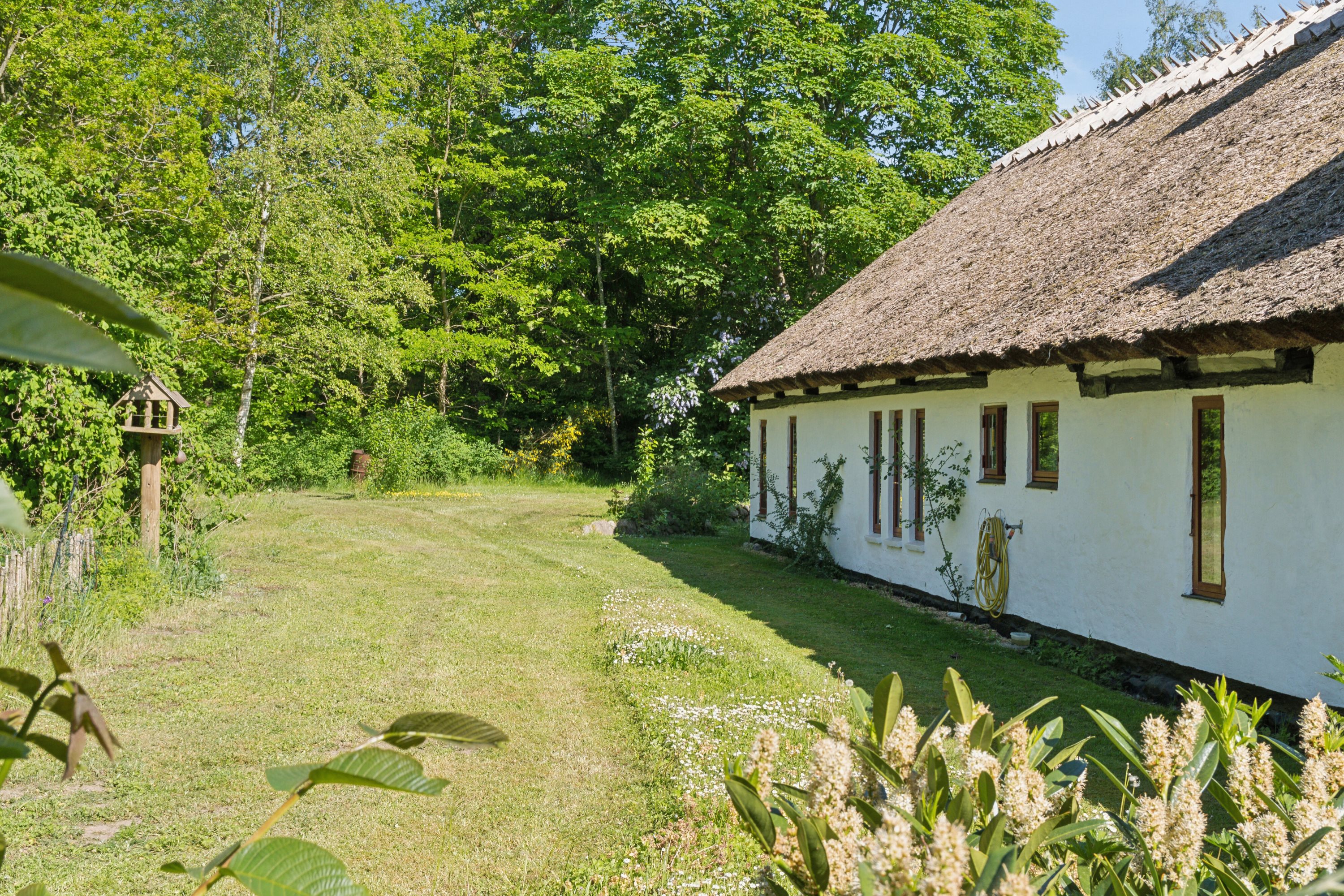 Fremhævet set fra haven billede i fuldskærmstilstand. Billede af Stormgårdsvej 13, Skuldelev, 4050 Skibby