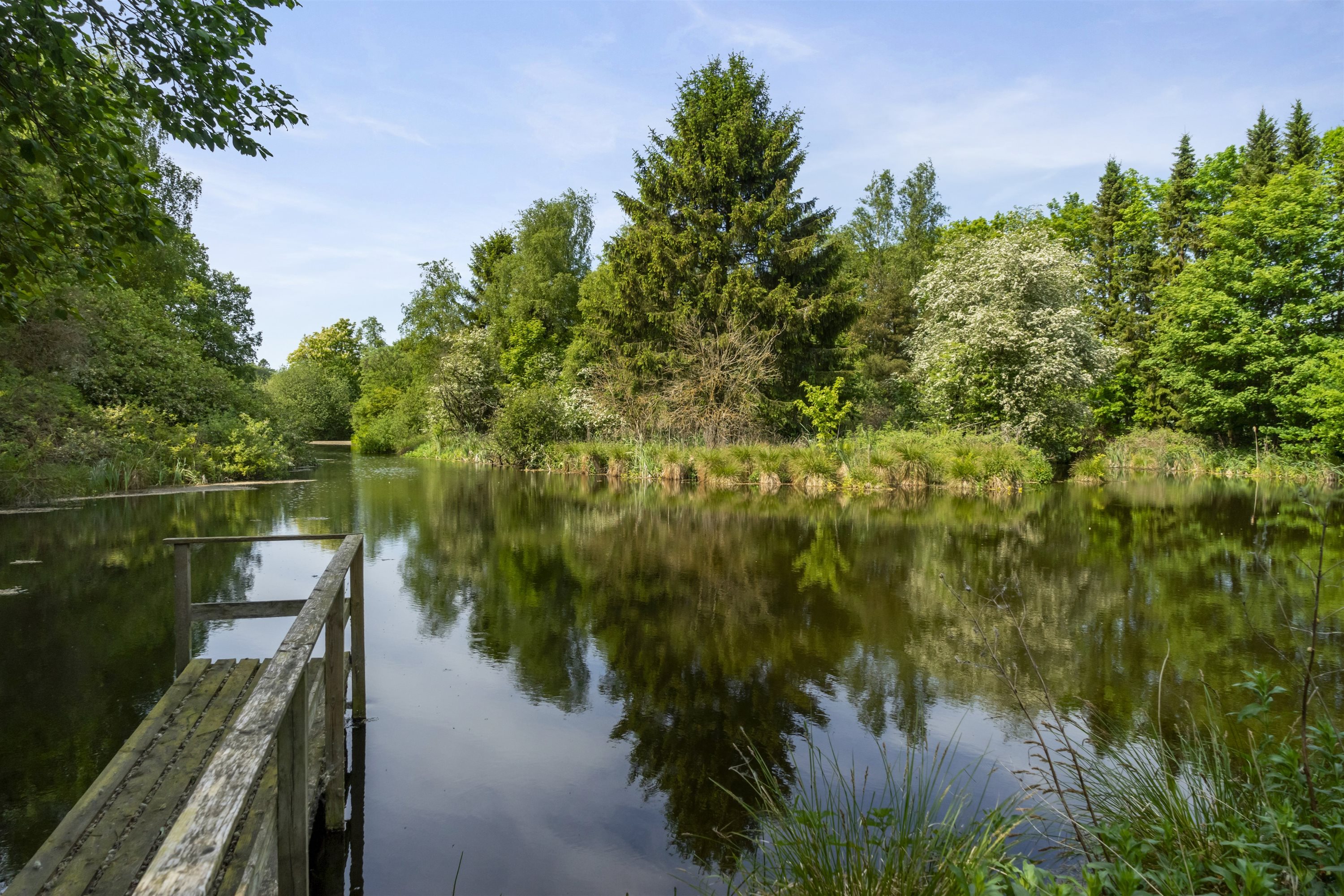 Fremhævet ejendommen billede i fuldskærmstilstand. Billede af Ettrupvej 85, 9620 Aalestrup