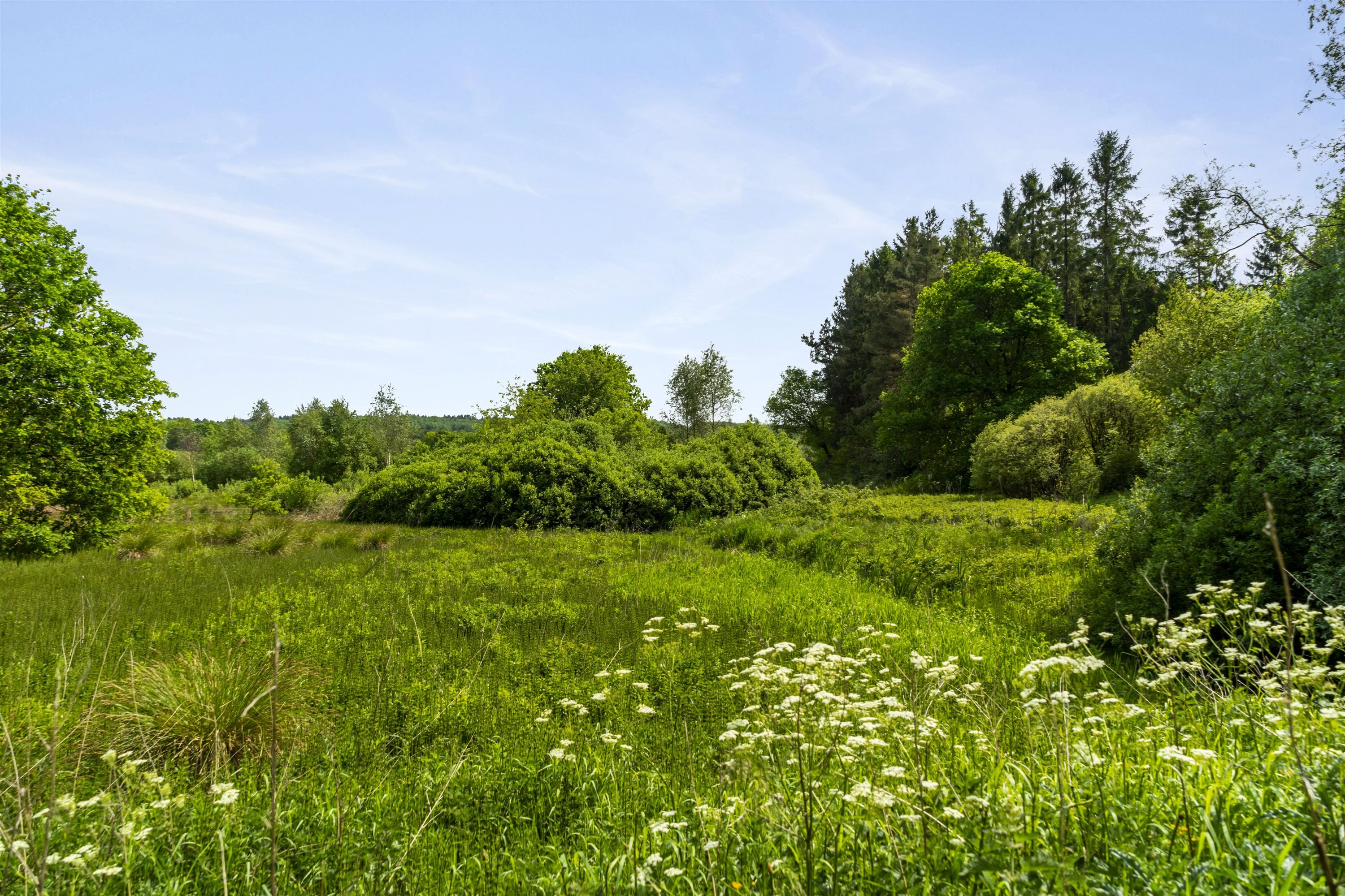 Fremhævet ejendommen billede i fuldskærmstilstand. Billede af Ettrupvej 85, 9620 Aalestrup