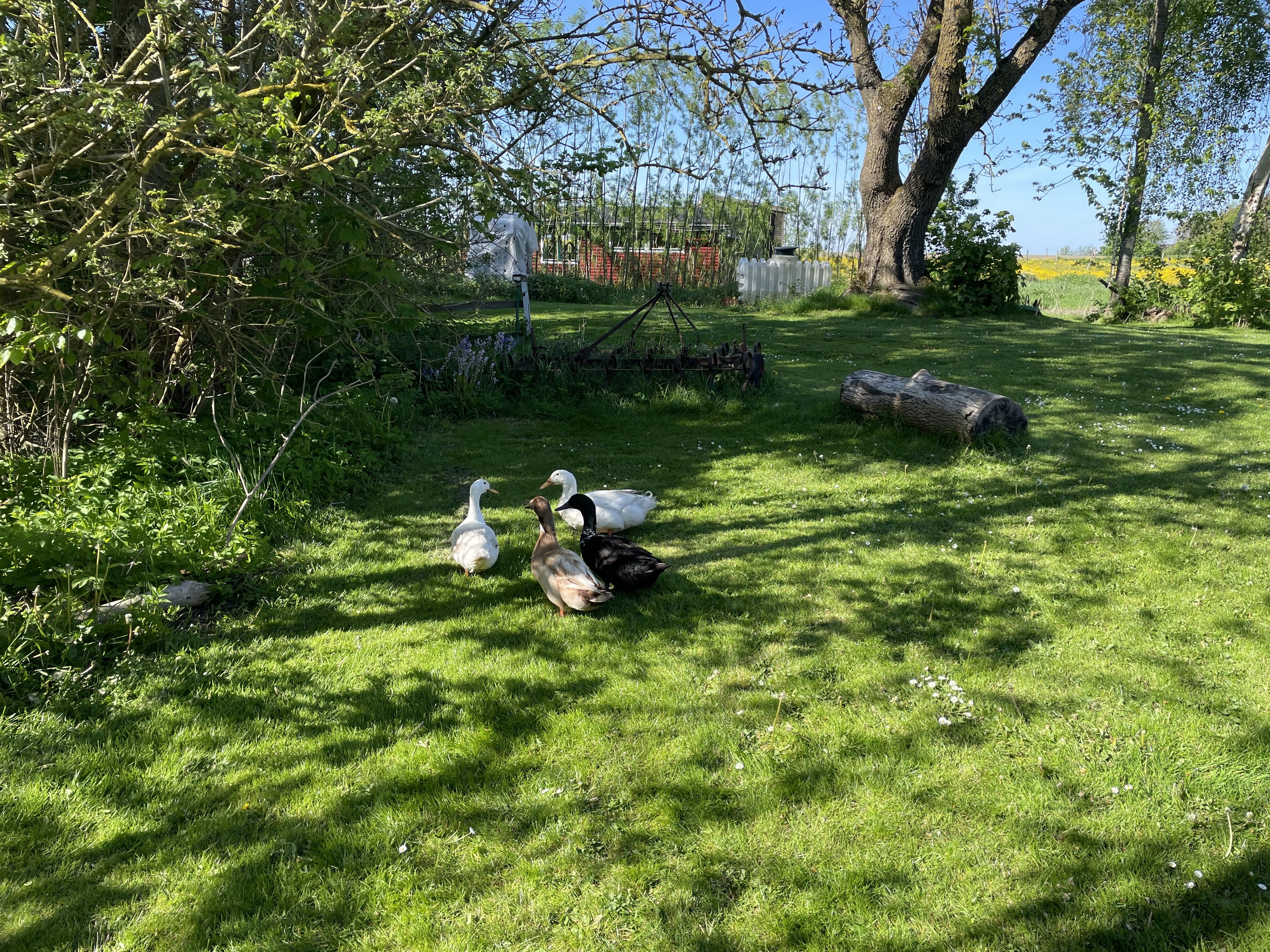 Fremhævet  billede i fuldskærmstilstand. Billede af Hadrupvej 4, 8350 Hundslund