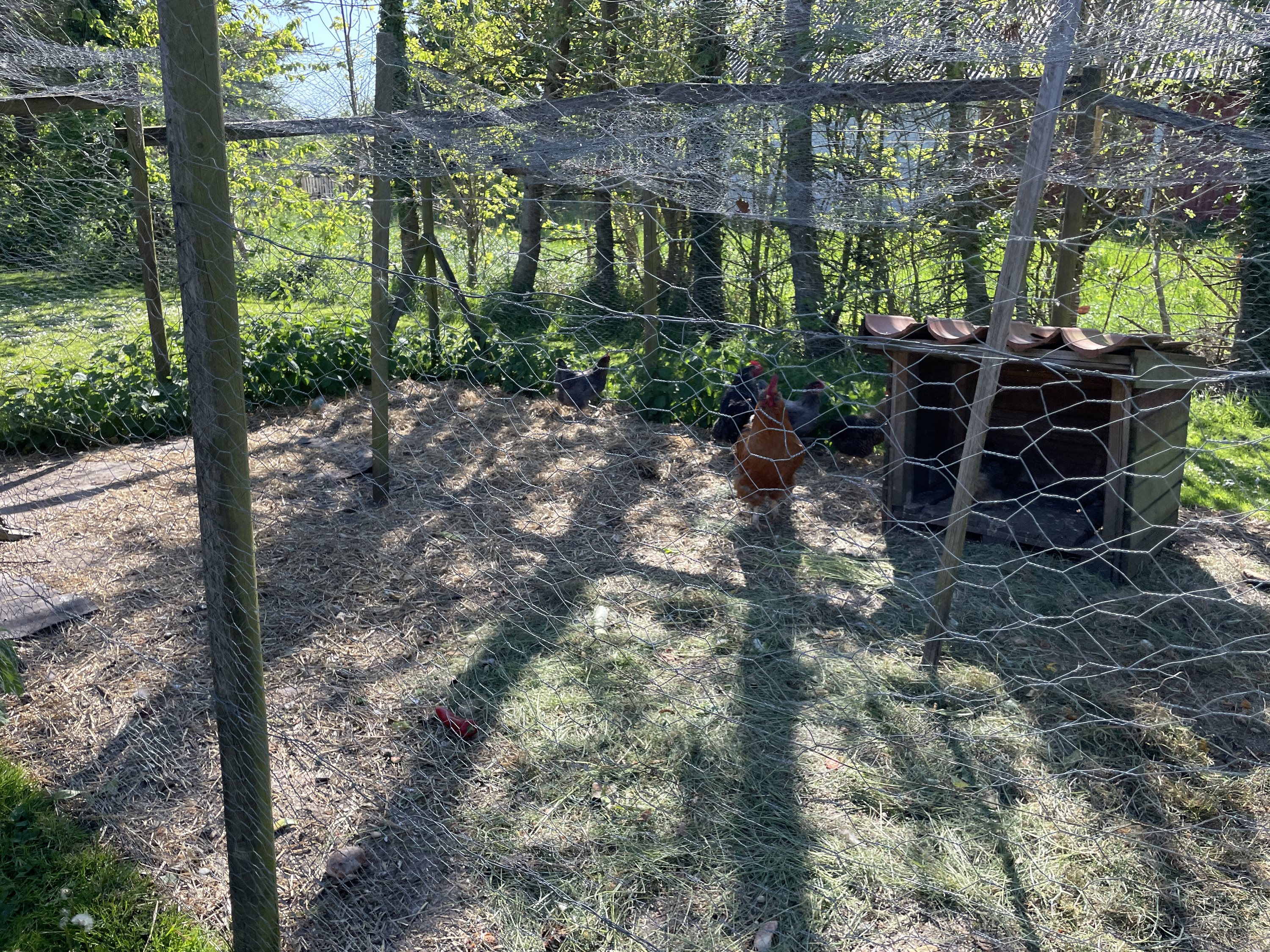 Fremhævet  billede i fuldskærmstilstand. Billede af Hadrupvej 4, 8350 Hundslund