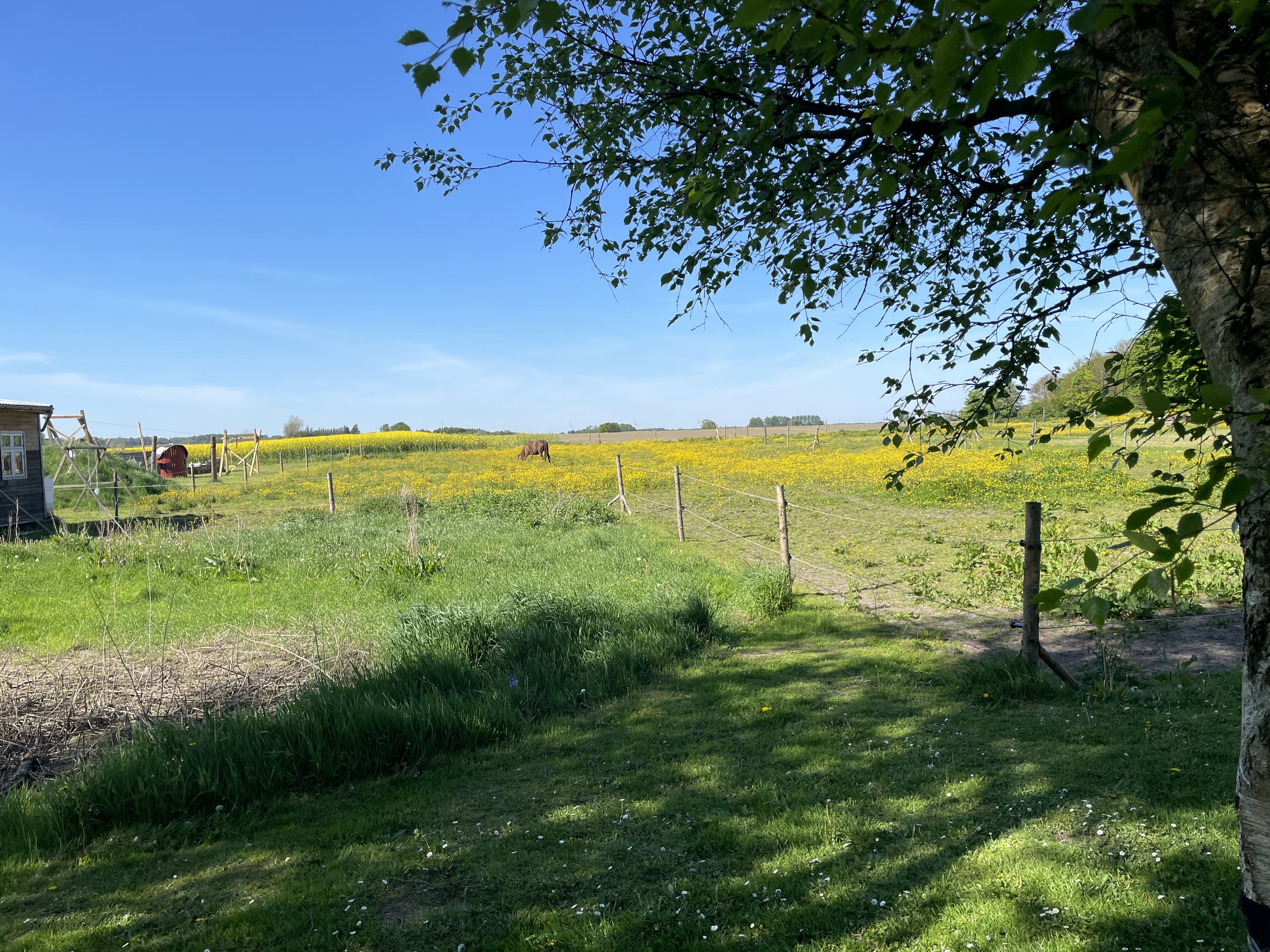 Fremhævet  billede i fuldskærmstilstand. Billede af Hadrupvej 4, 8350 Hundslund