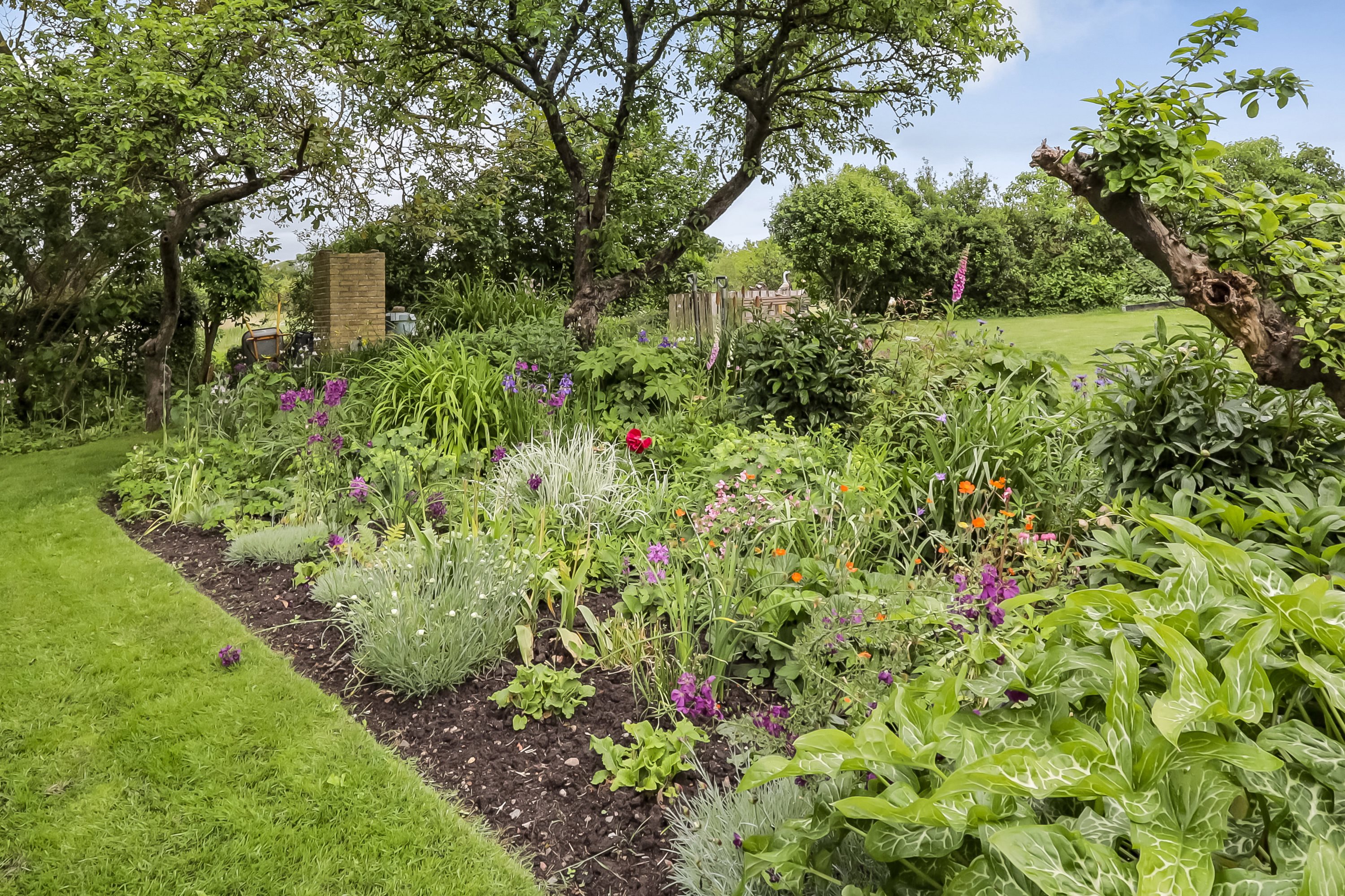 Fremhævet have billede i fuldskærmstilstand. Billede af Fjællebrovejen 32, Fjællebroen, 5762 Vester Skerninge