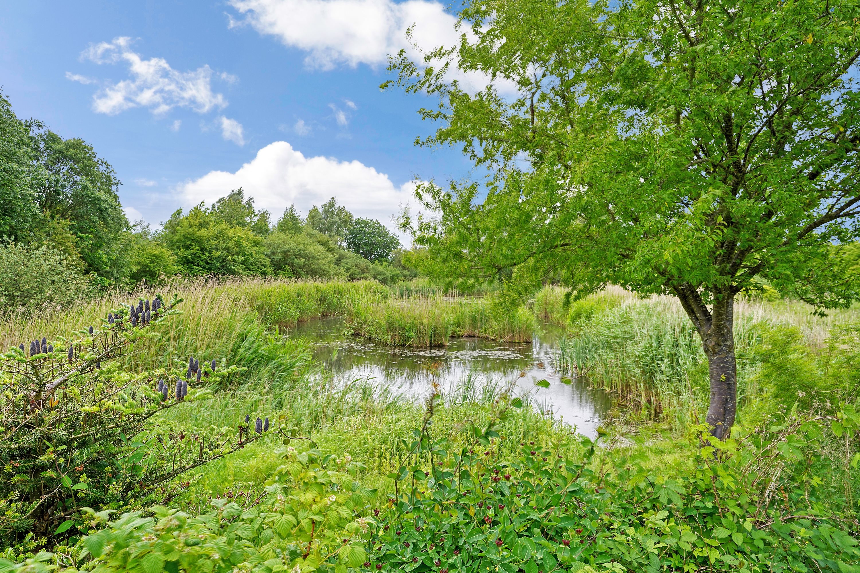 Fremhævet område billede i fuldskærmstilstand. Billede af Langebjergvej 560, 3050 Humlebæk