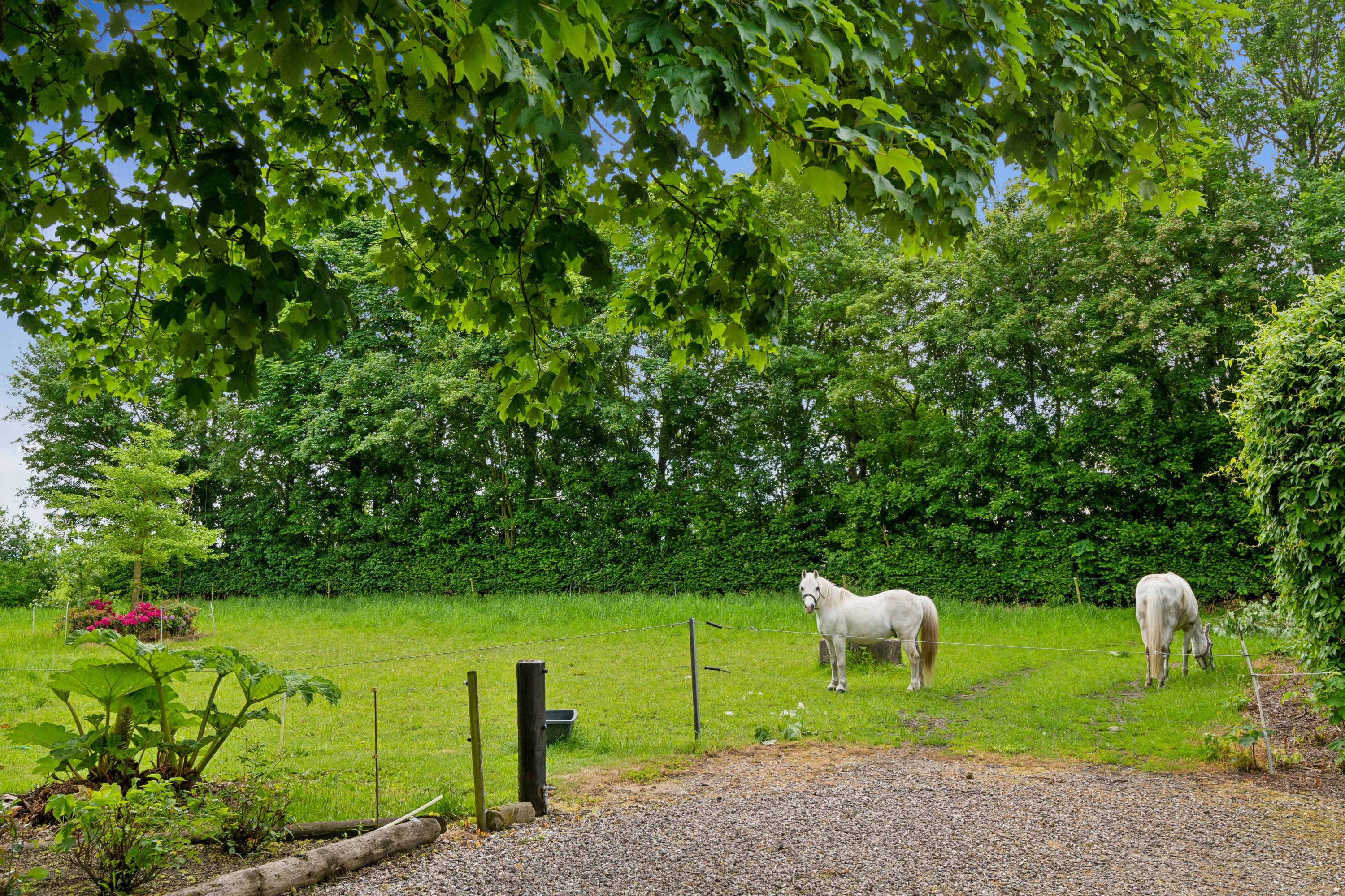 Fremhævet ejendom 1 billede i fuldskærmstilstand. Billede af Hjedsbækvej 71, Sørup, 9530 Støvring
