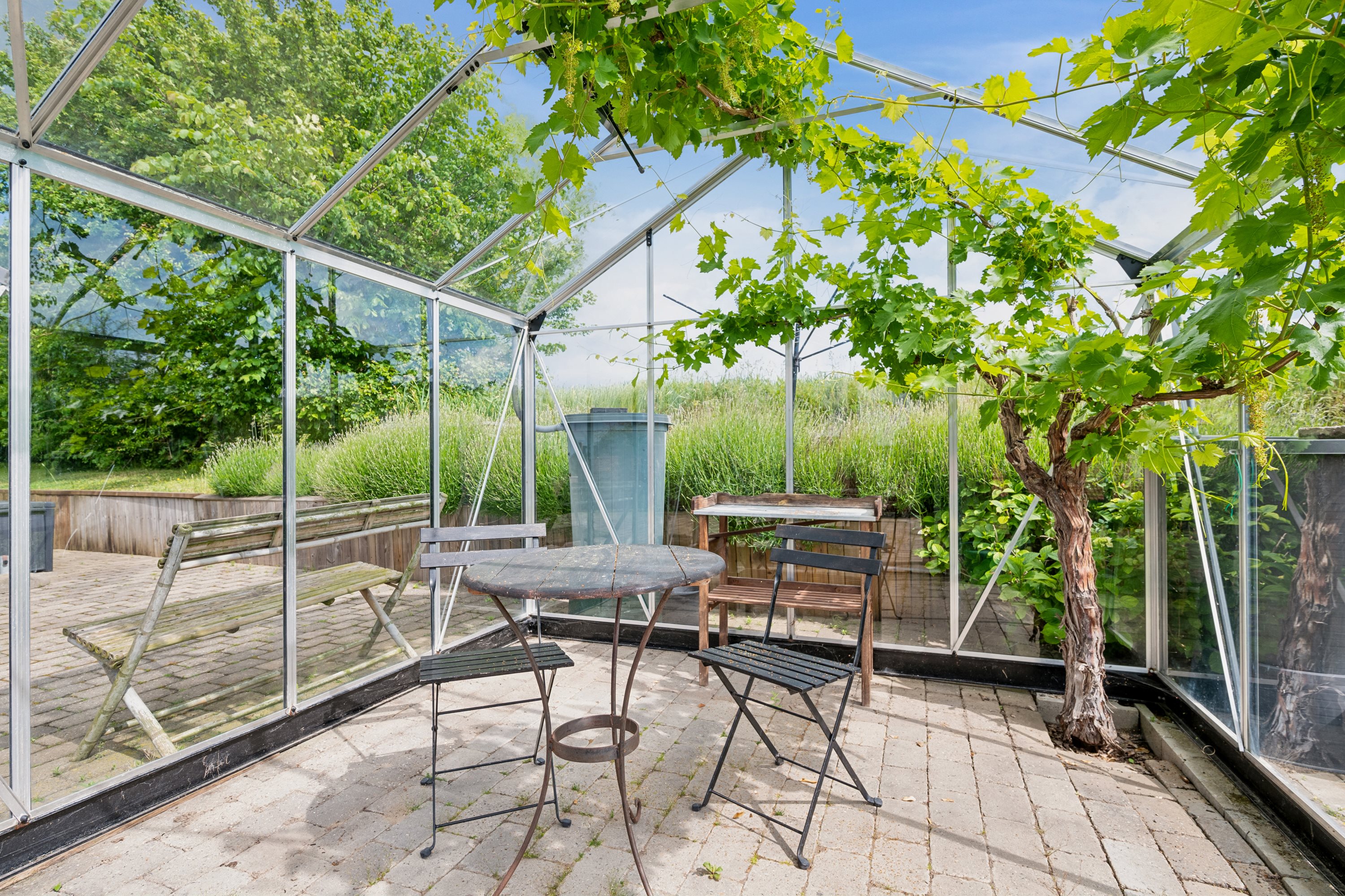 Fremhævet have billede i fuldskærmstilstand. Billede af Tangvej 28, Begtrup Vig, 8420 Knebel