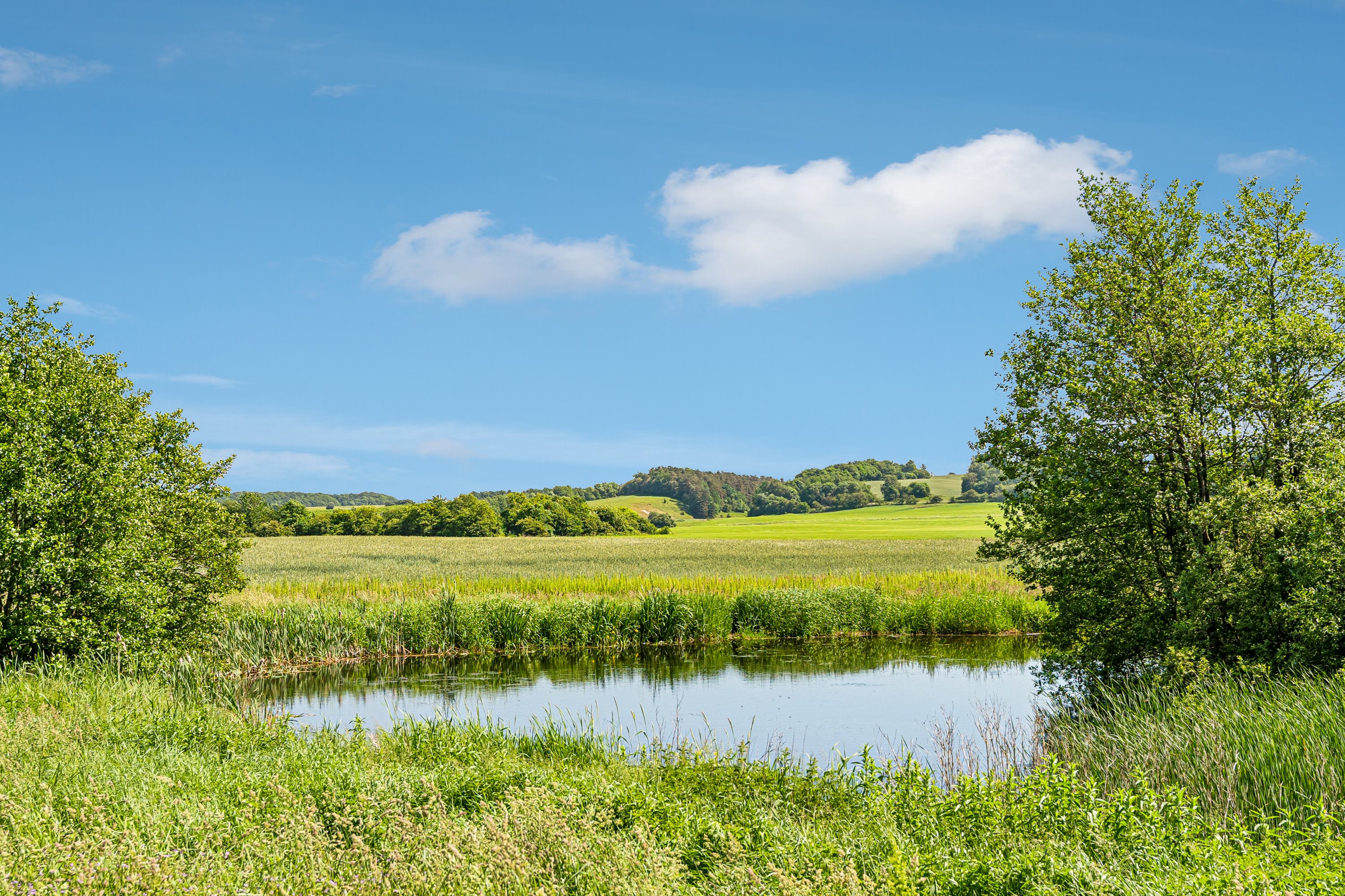 Miniaturebillede 2: omgivelser. Billede af Nøragervej 28, Tindbæk, 8830 Tjele
