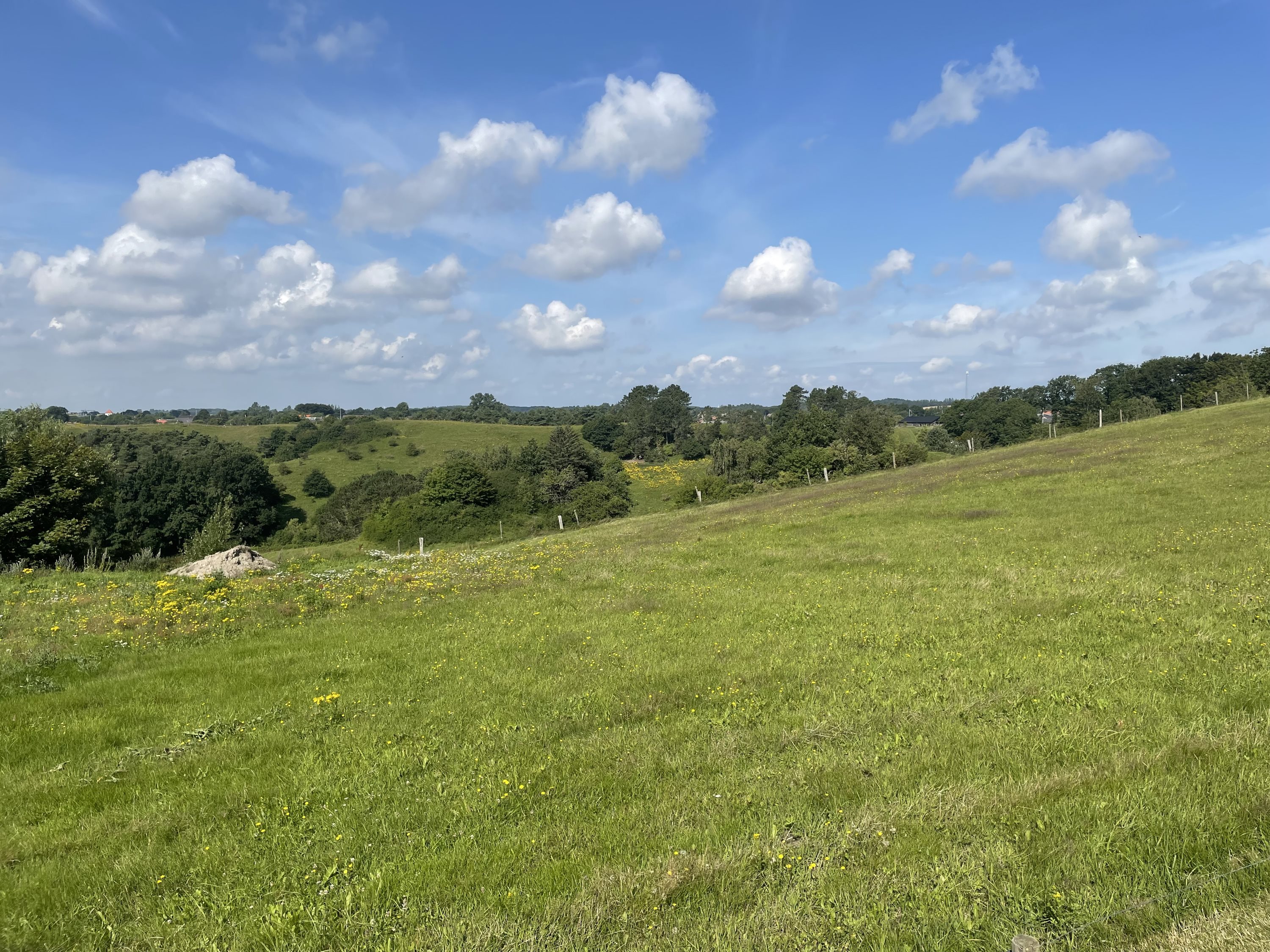 Fremhævet andet billede i fuldskærmstilstand. Billede af Øster Rør Vej 6, Gærum, 9900 Frederikshavn