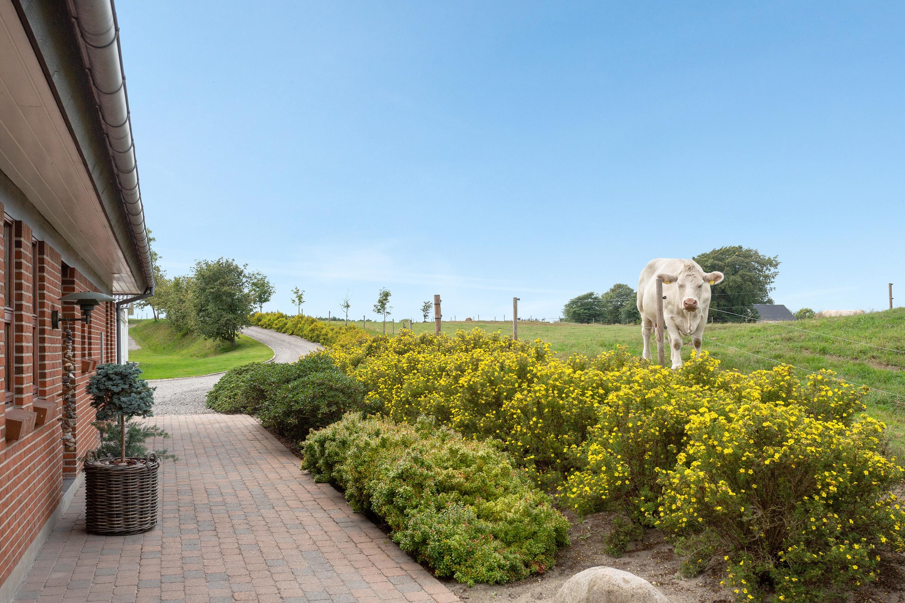 Fremhævet ejendommen billede i fuldskærmstilstand. Billede af Eskærvej 10, Mejling, 9900 Frederikshavn