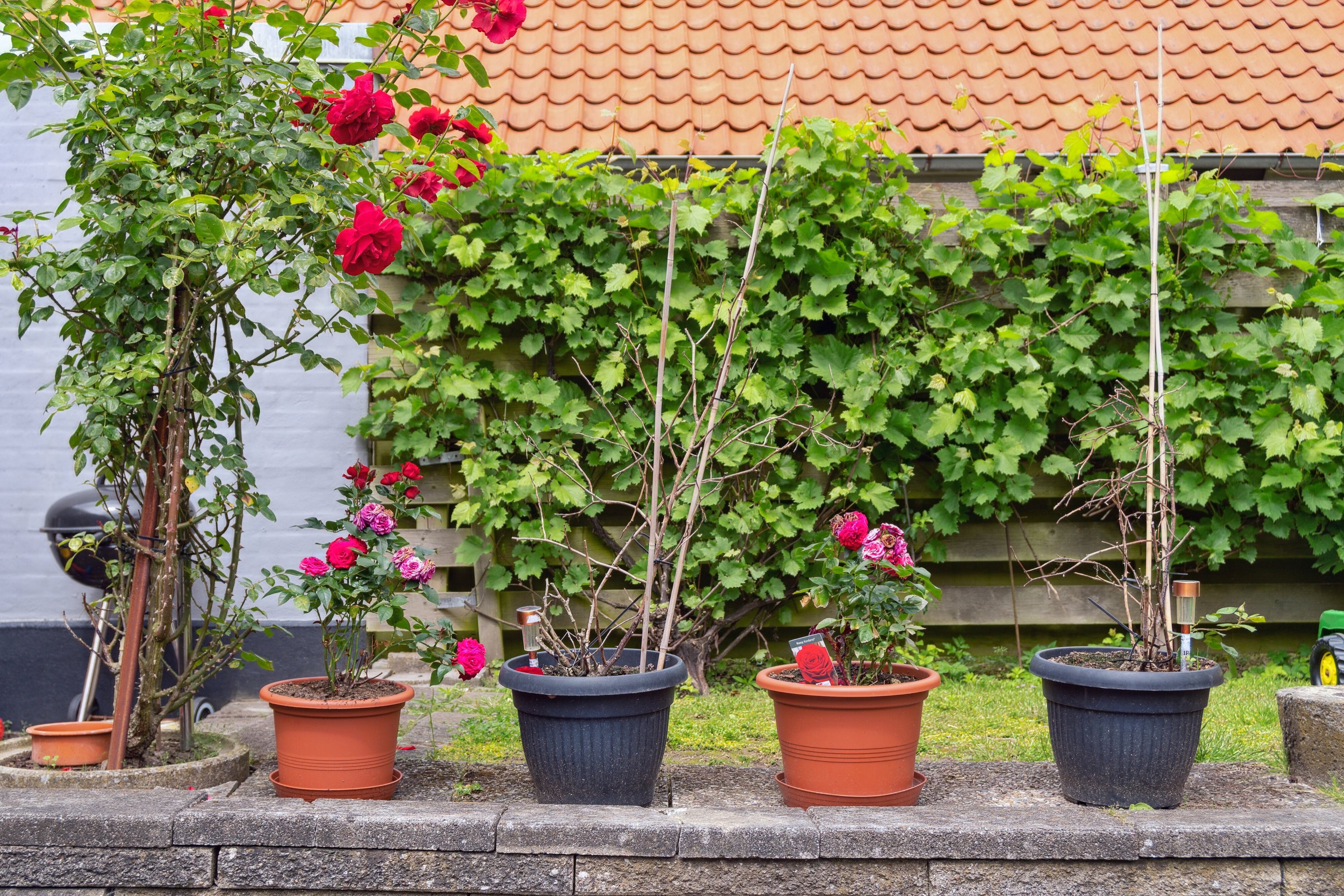 Fremhævet udendørs billede i fuldskærmstilstand. Billede af Nyborgvej 310, 5220 Odense SØ