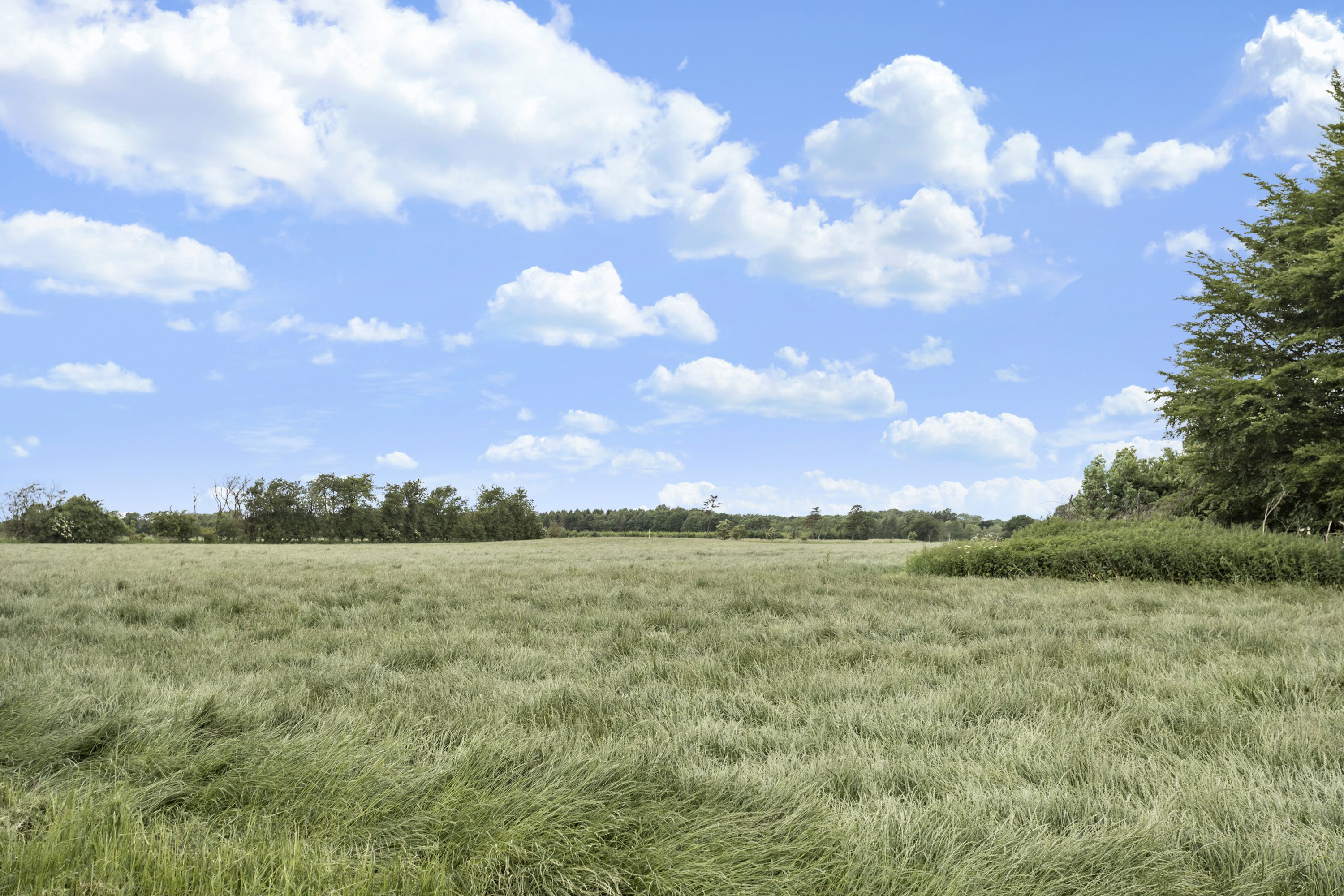 Fremhævet område billede i fuldskærmstilstand. Billede af Hafdrupvej 11, Hafdrup, 6580 Vamdrup