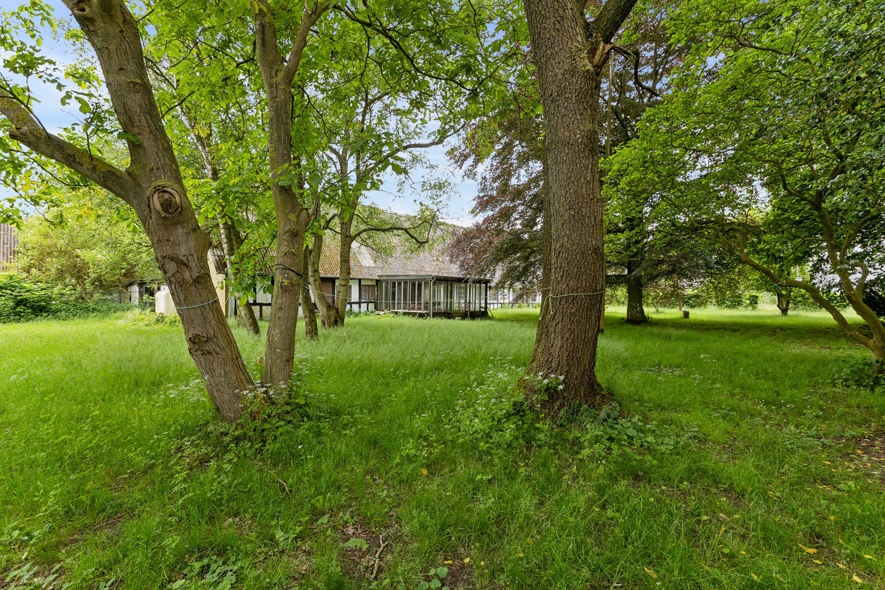 Fremhævet have billede i fuldskærmstilstand. Billede af Søndervej 73, Brobyværk, 5672 Broby