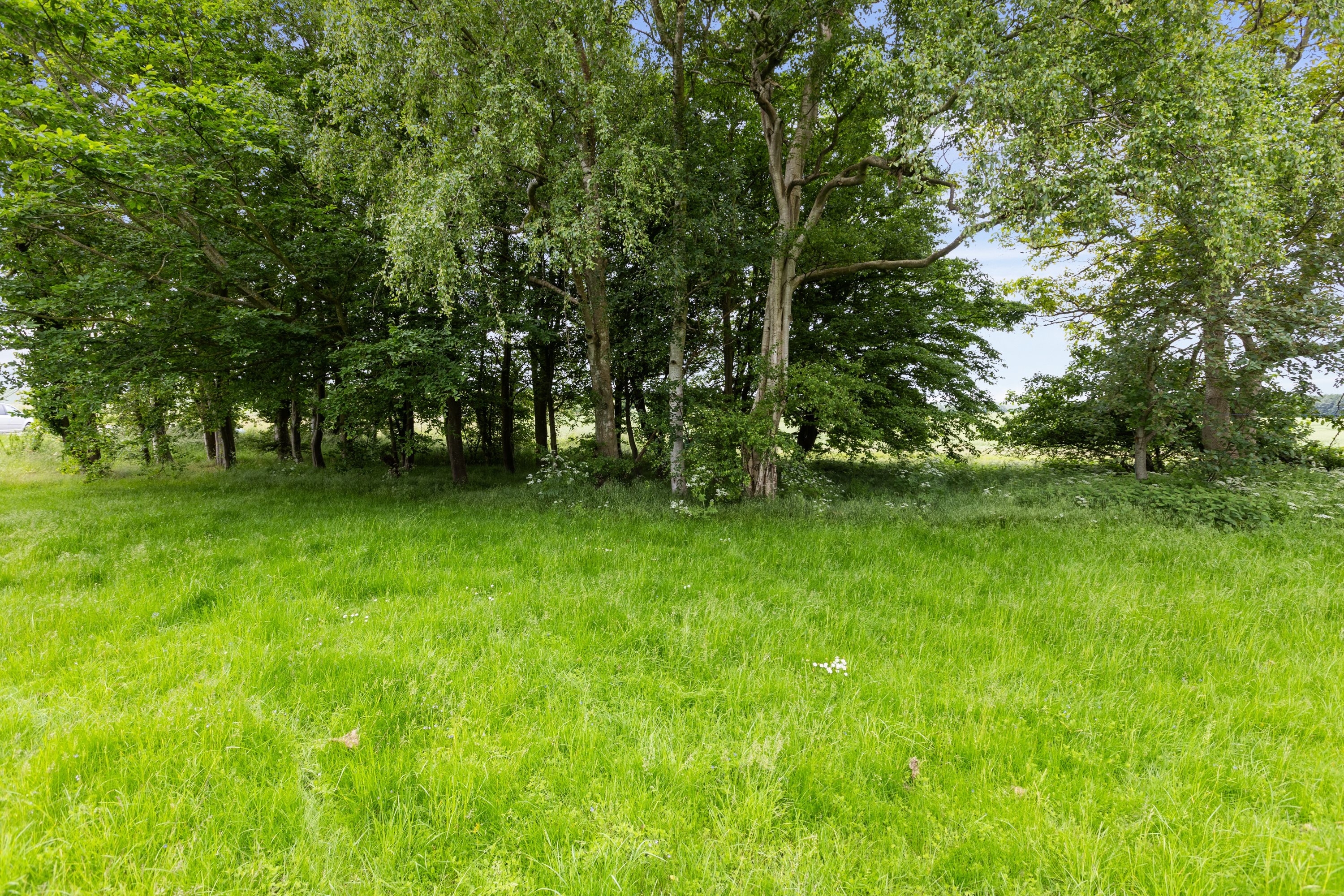 Fremhævet have billede i fuldskærmstilstand. Billede af Søndervej 80, Brobyværk, 5672 Broby