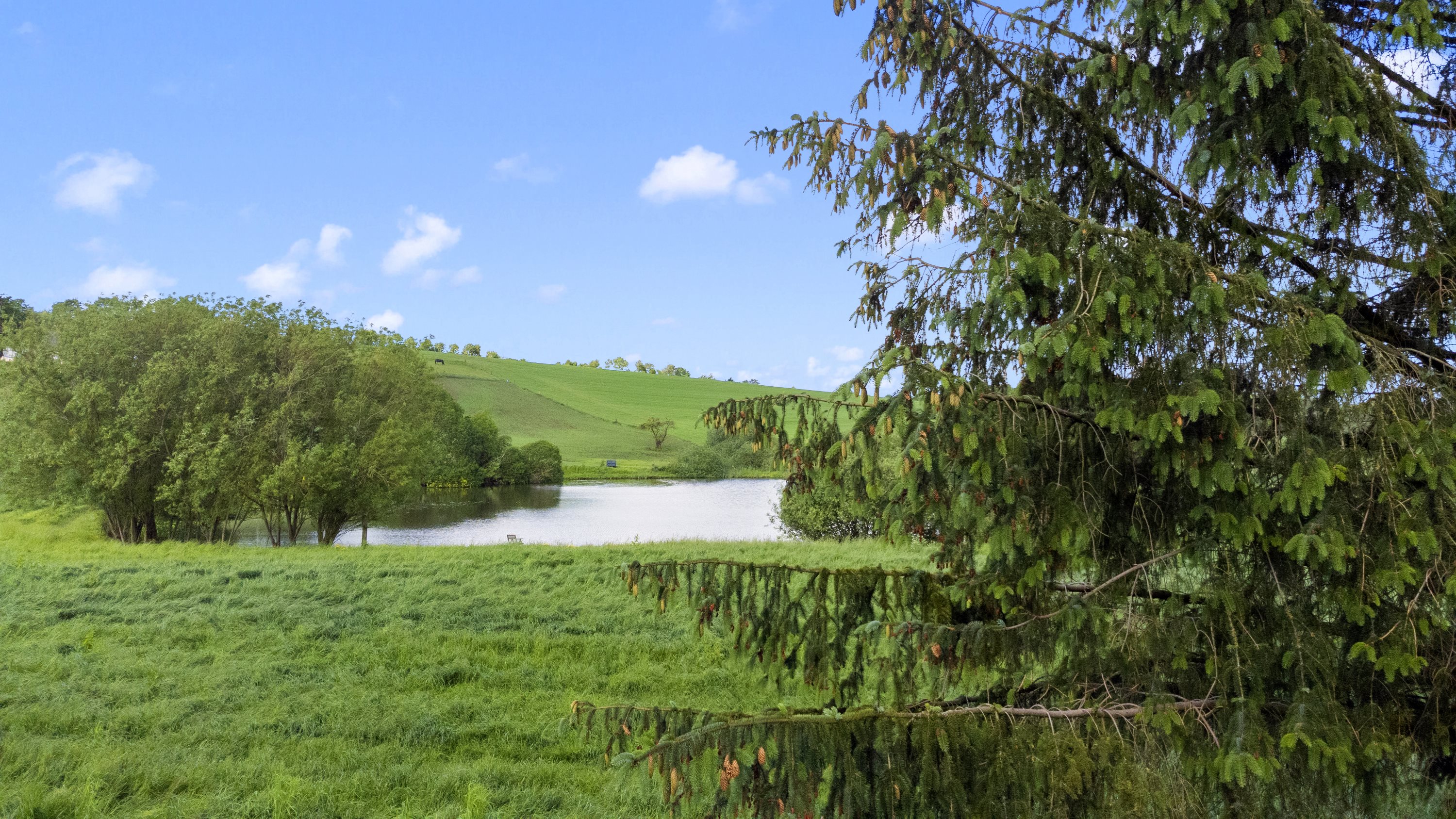 Fremhævet  billede i fuldskærmstilstand. Billede af Brørup Mosevej 6, Brørup, 8660 Skanderborg