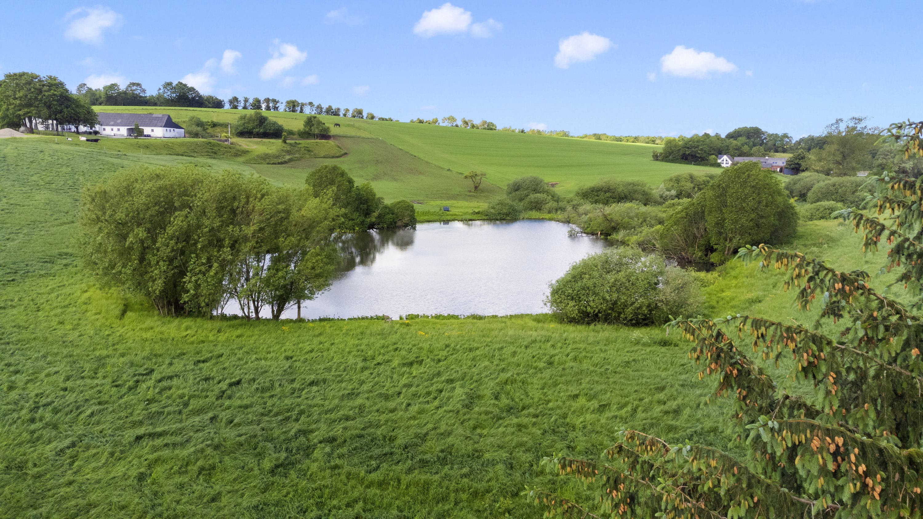 Fremhævet  billede i fuldskærmstilstand. Billede af Brørup Mosevej 6, Brørup, 8660 Skanderborg