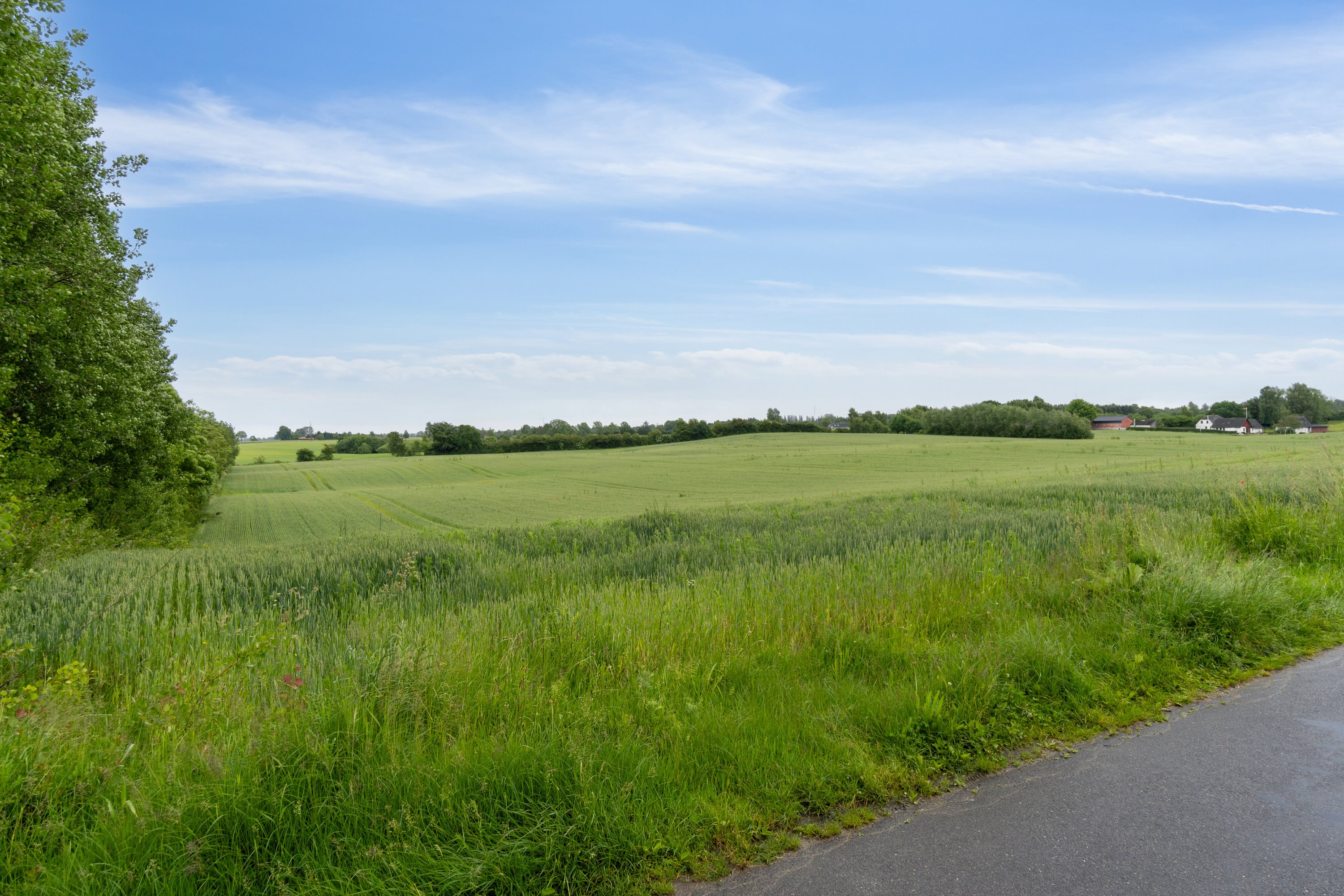 Fremhævet udsigt billede i fuldskærmstilstand. Billede af Husmandsalleen 14, 5884 Gudme