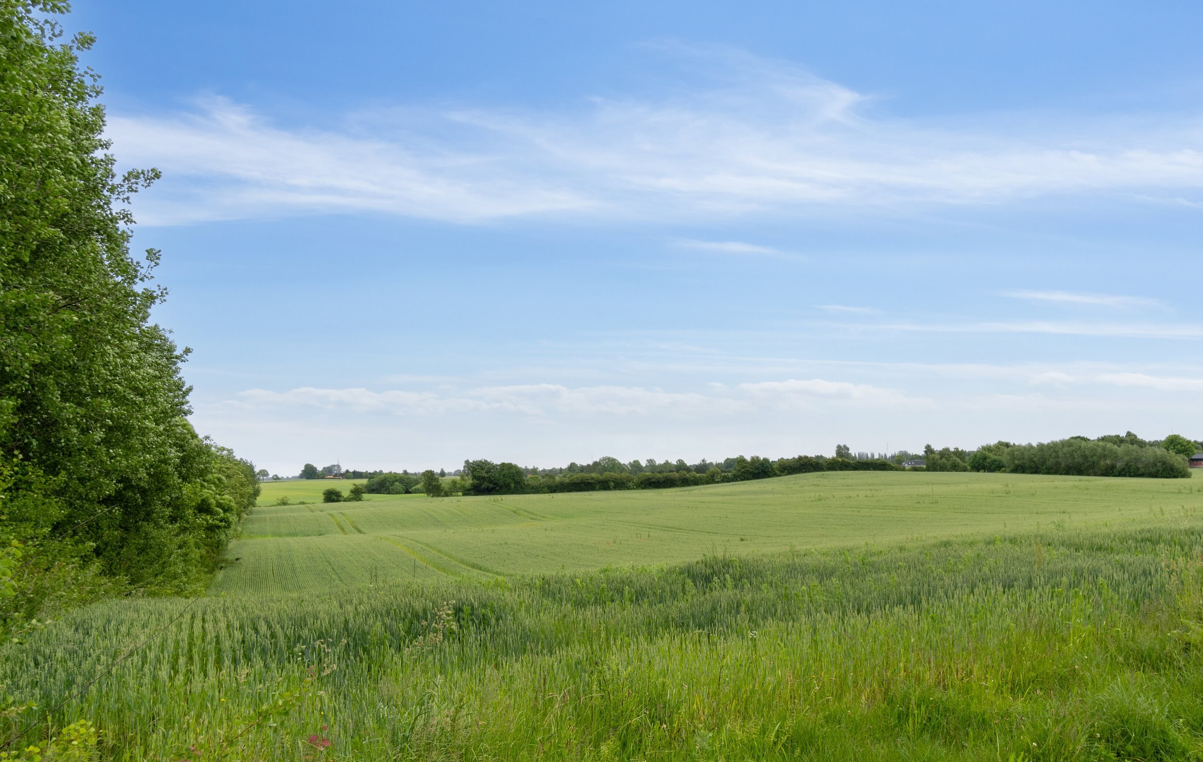 Fremhævet udsigt billede i fuldskærmstilstand. Billede af Husmandsalleen 14, 5884 Gudme