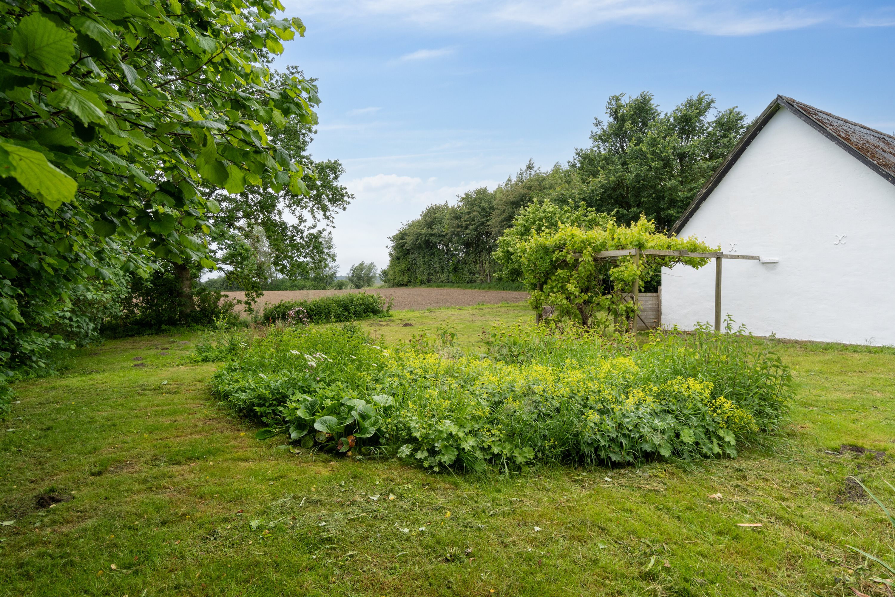 Fremhævet have billede i fuldskærmstilstand. Billede af Husmandsalleen 14, 5884 Gudme