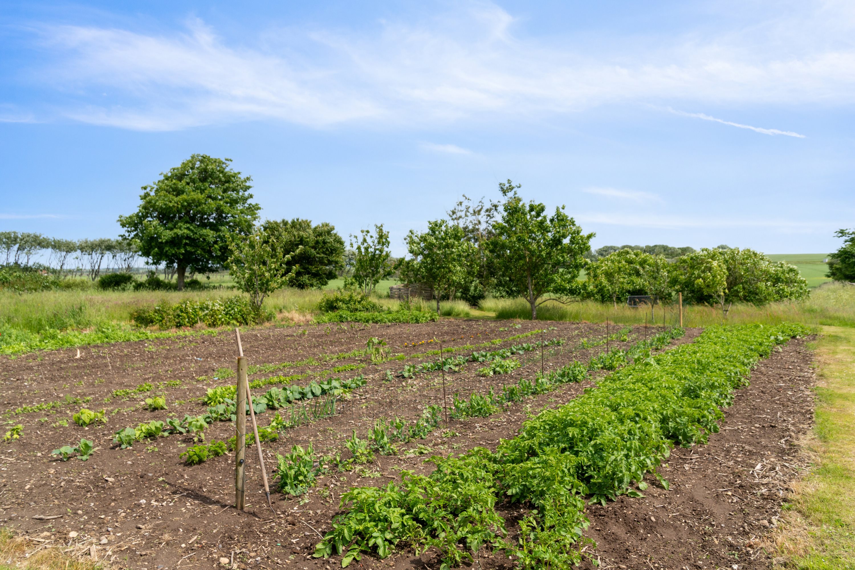 Fremhævet udendørs billede i fuldskærmstilstand. Billede af Dovervej 4, Dover, 7760 Hurup Thy