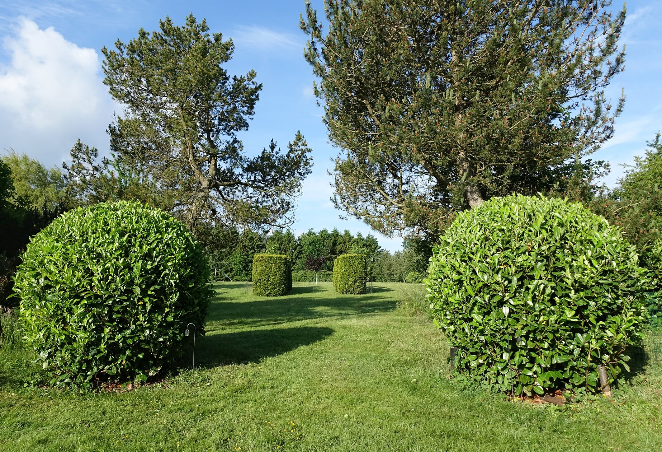 Fremhævet  billede i fuldskærmstilstand. Billede af Højgårdsvej 37, Eskilstrup, 4683 Rønnede