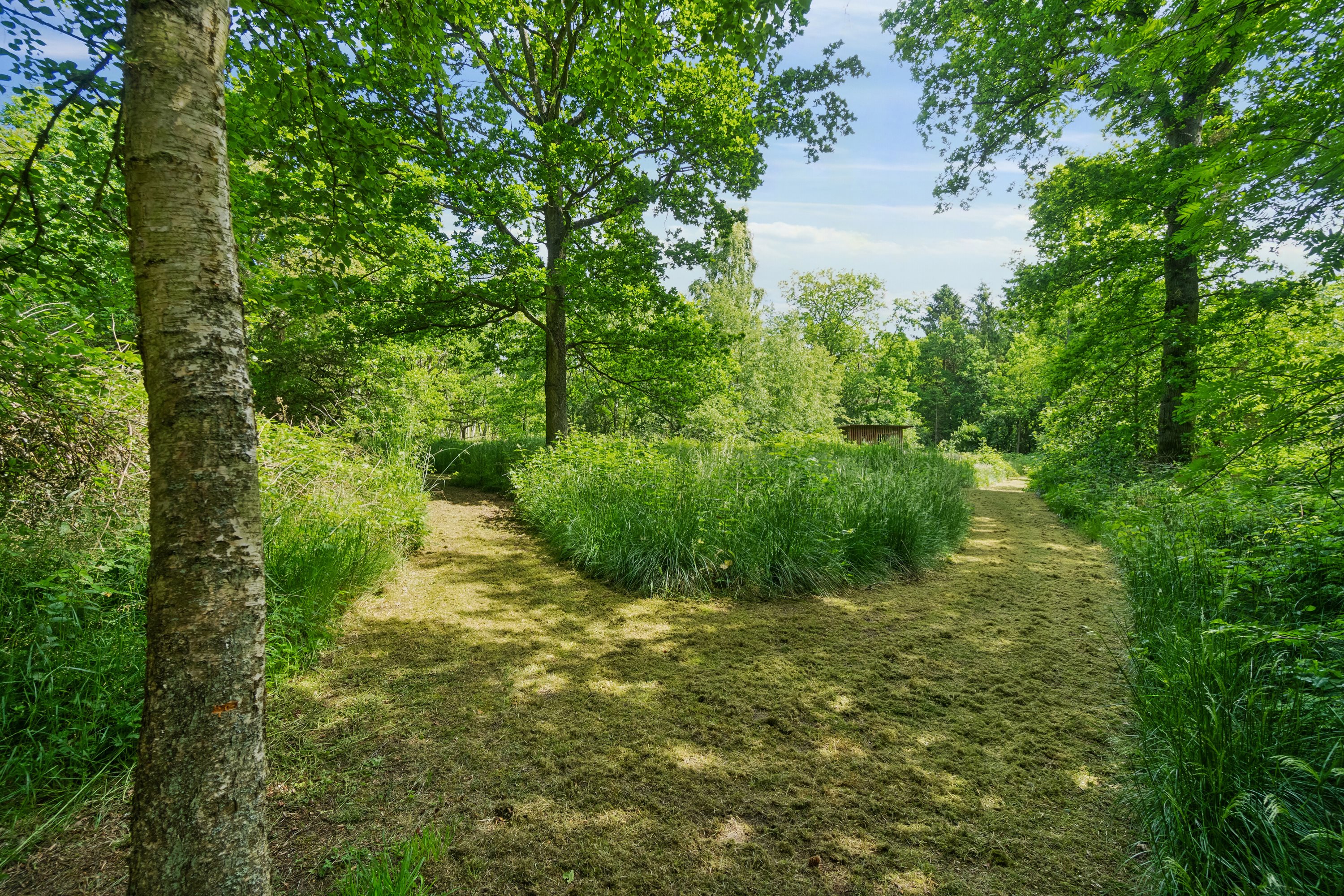 Fremhævet udendørs billede i fuldskærmstilstand. Billede af Maegårdsskoven 6, Pedersker, 3720 Aakirkeby