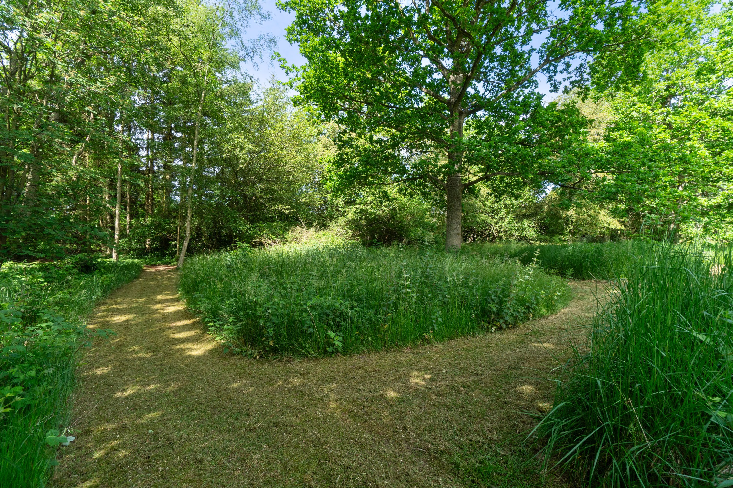 Fremhævet udendørs billede i fuldskærmstilstand. Billede af Maegårdsskoven 6, Pedersker, 3720 Aakirkeby