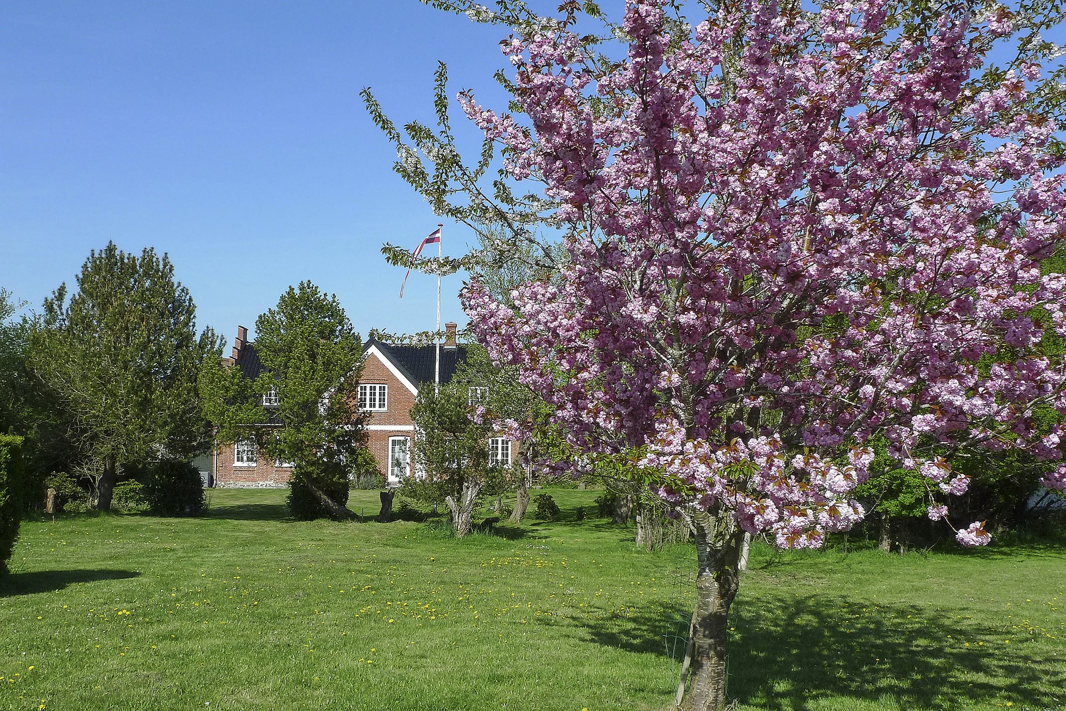 Fremhævet  billede i fuldskærmstilstand. Billede af Højgårdsvej 37, Eskilstrup, 4683 Rønnede