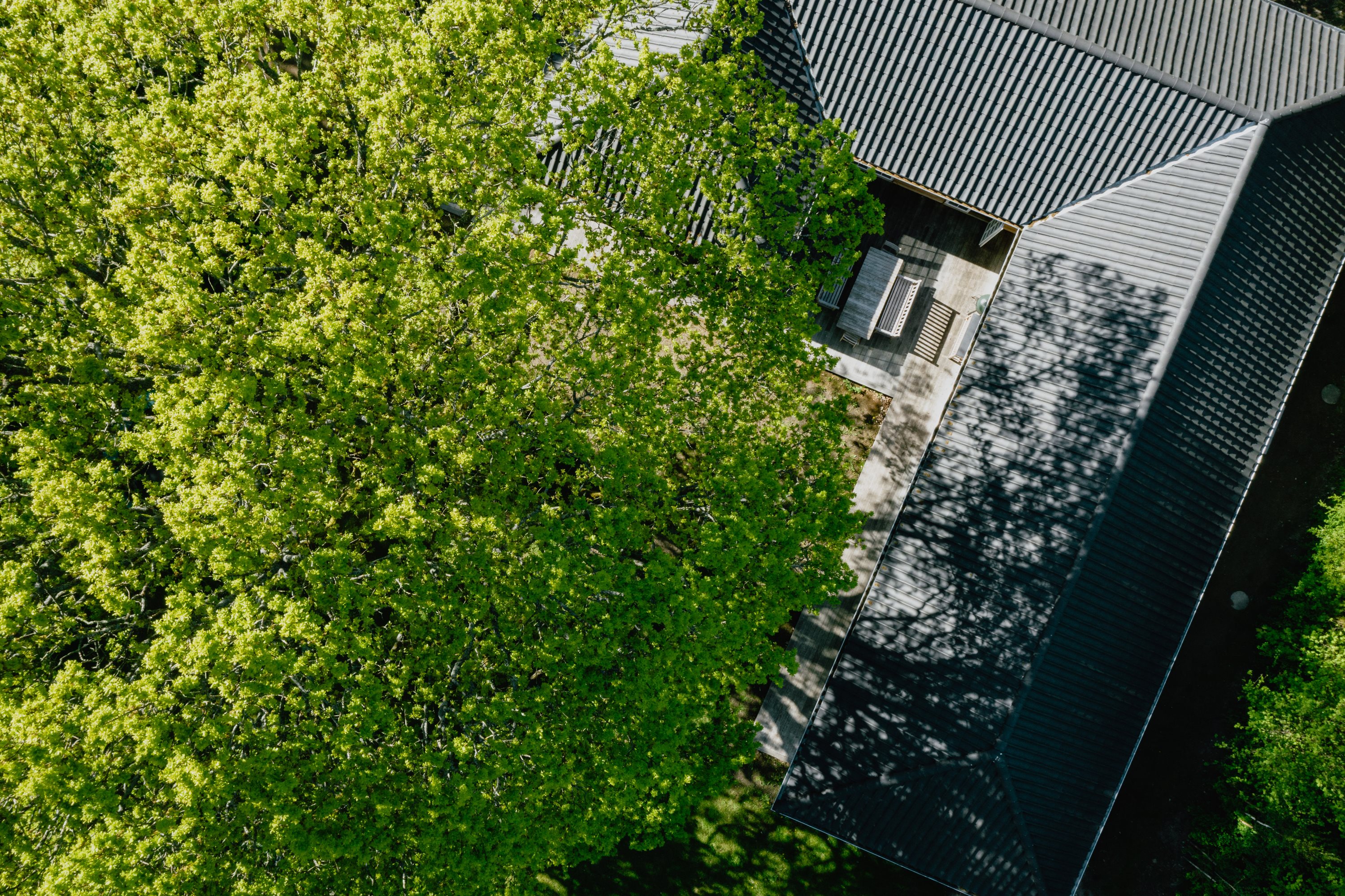 Fremhævet  billede i fuldskærmstilstand. Billede af Hornebakken 7, 3100 Hornbæk