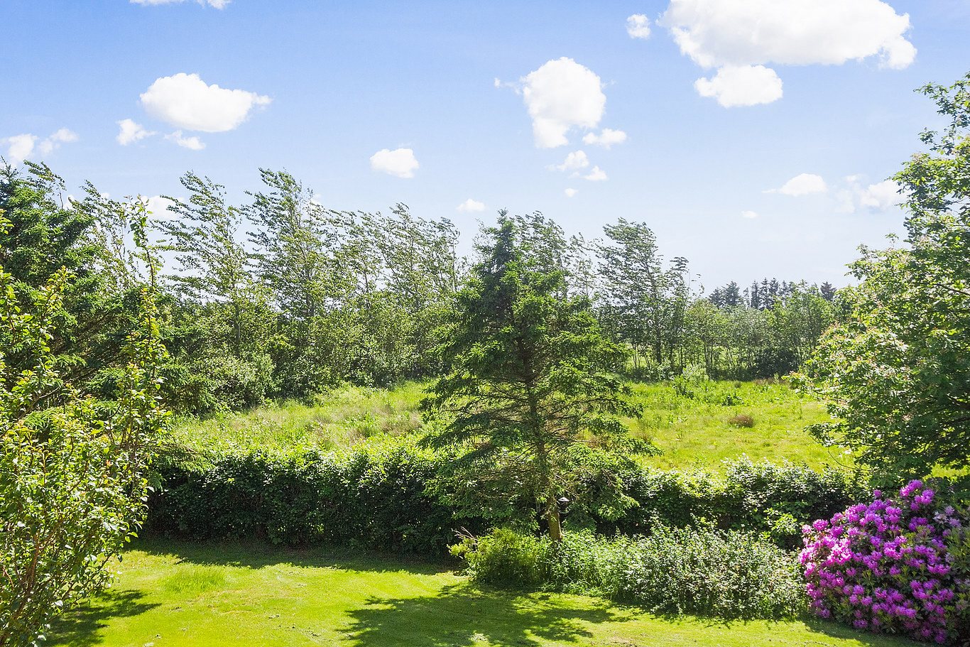 Fremhævet udsigt billede i fuldskærmstilstand. Billede af Gl Hirtshalsvej 2A, Vidstrup, 9800 Hjørring