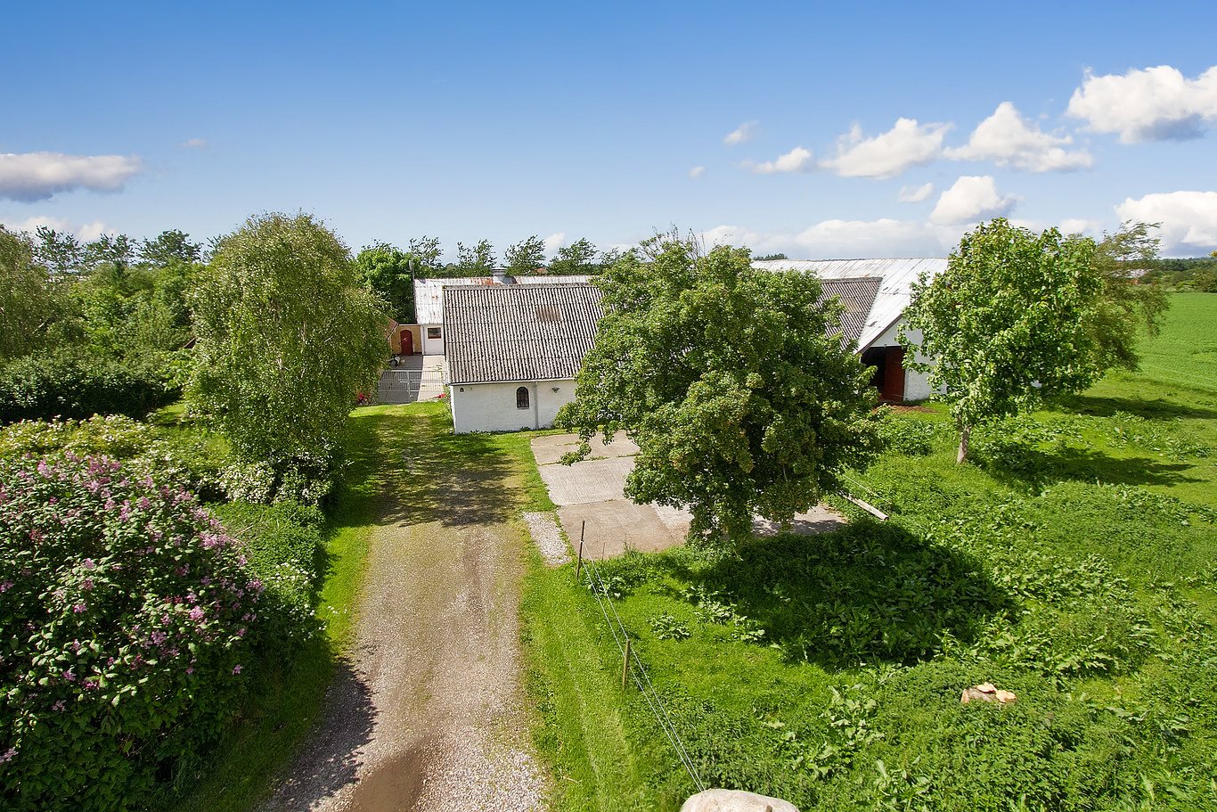 Fremhævet set fra vejen billede i fuldskærmstilstand. Billede af Gl Hirtshalsvej 2A, Vidstrup, 9800 Hjørring