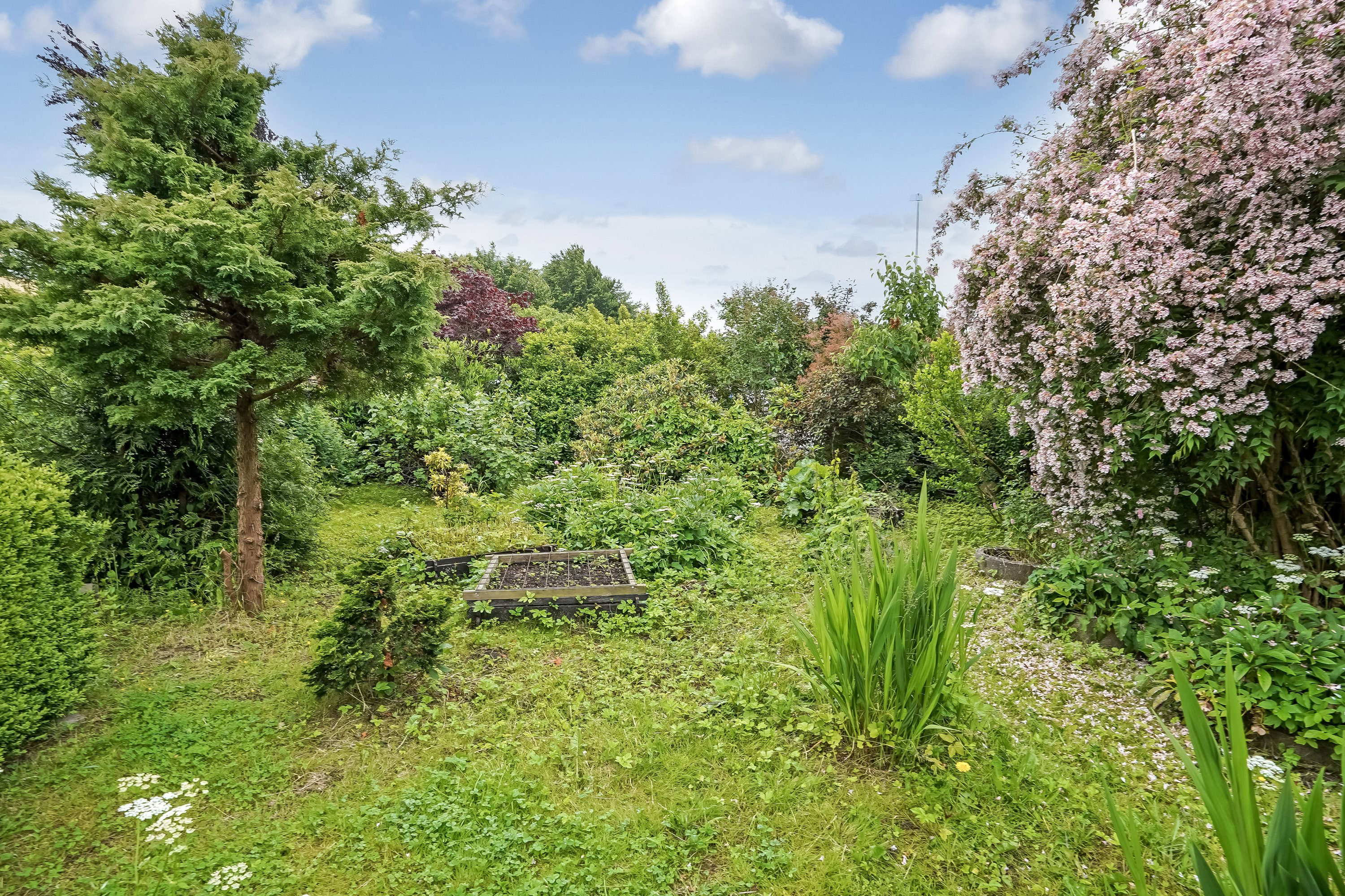 Fremhævet have billede i fuldskærmstilstand. Billede af Sdr. Vissingvej 16, Sdr Vissing, 8740 Brædstrup