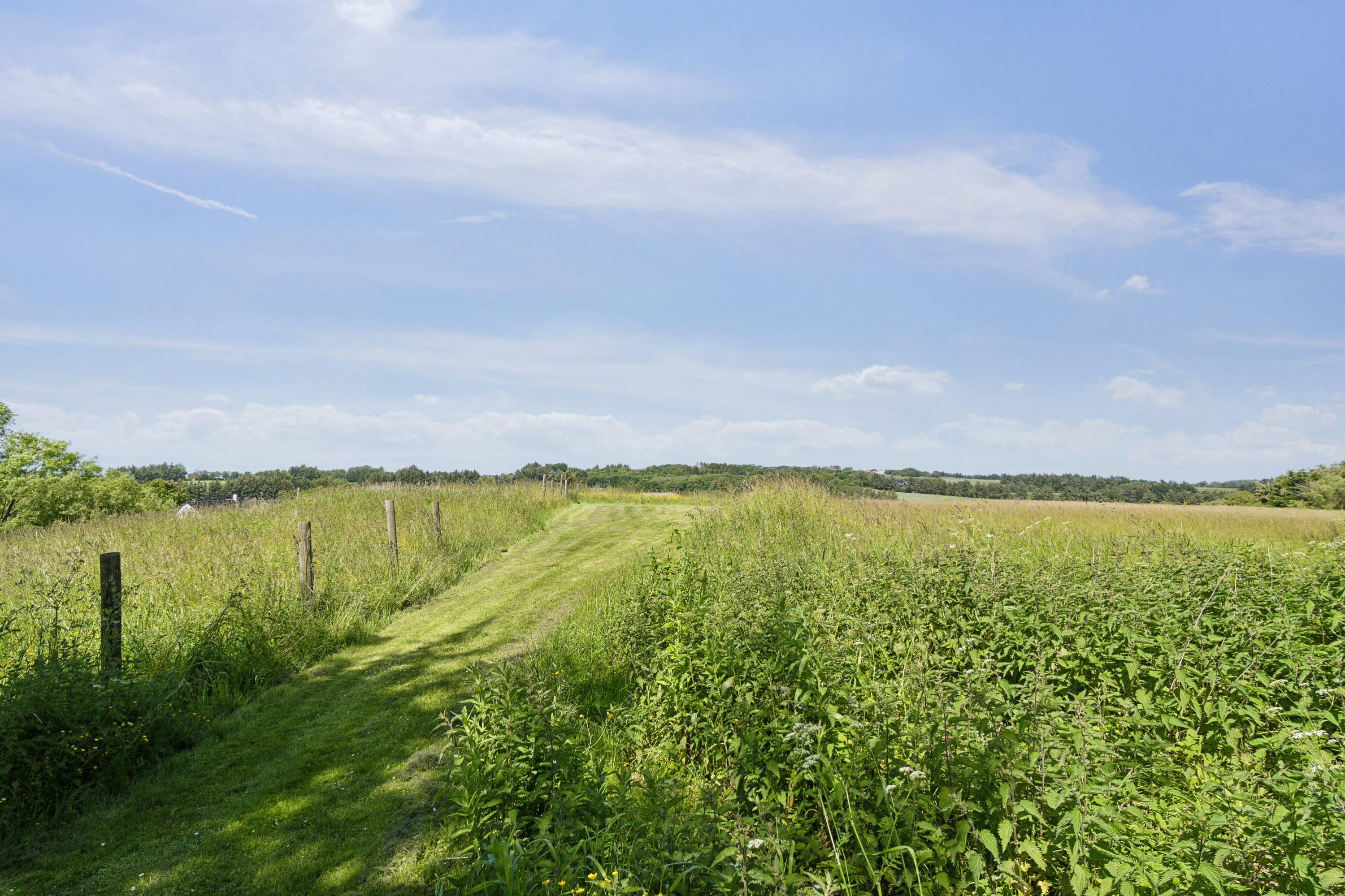 Fremhævet udendørs billede i fuldskærmstilstand. Billede af Snevrevej 4A, Højrup,Horne, 9850 Hirtshals