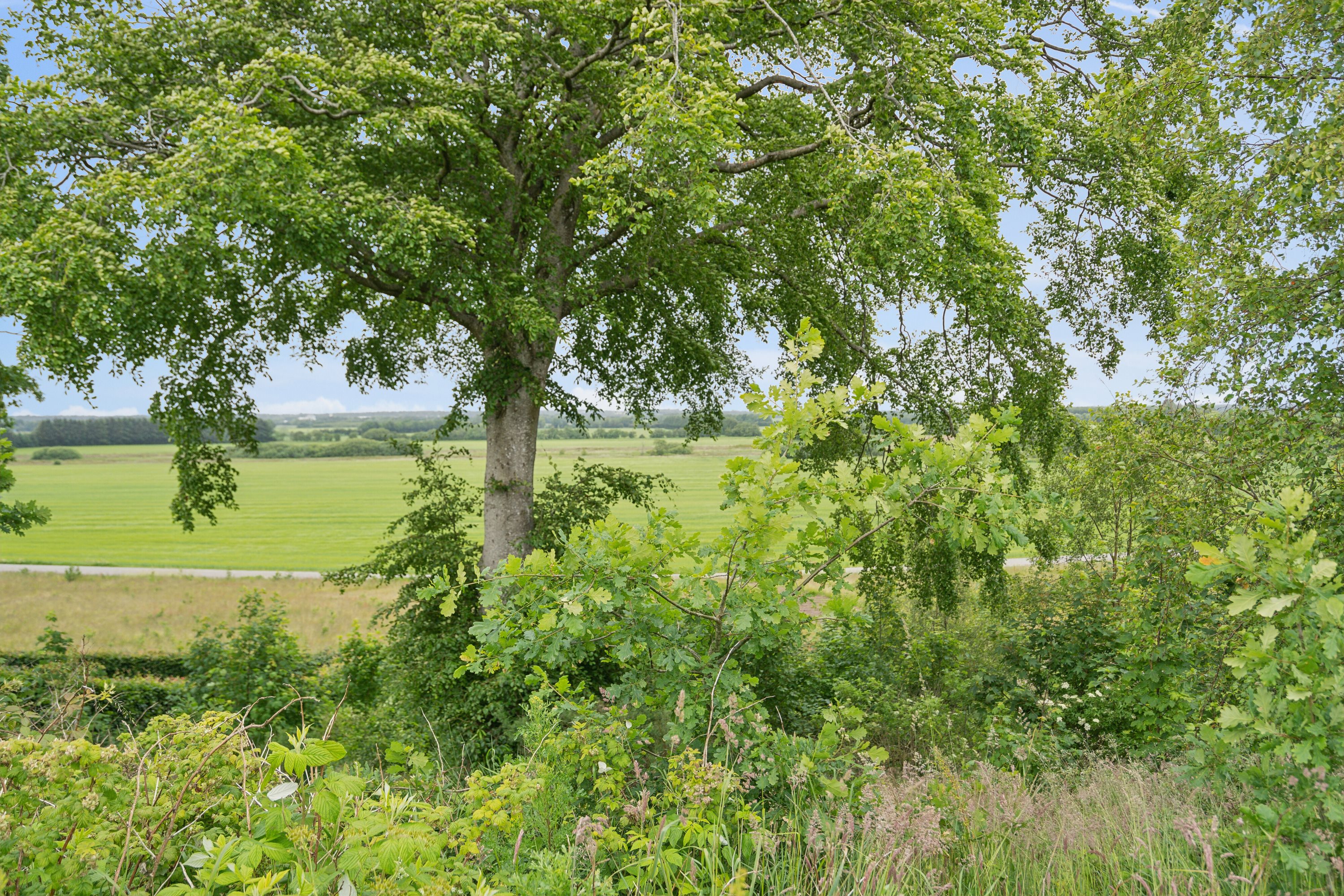 Fremhævet have billede i fuldskærmstilstand. Billede af Remmebakken 45, 7430 Ikast