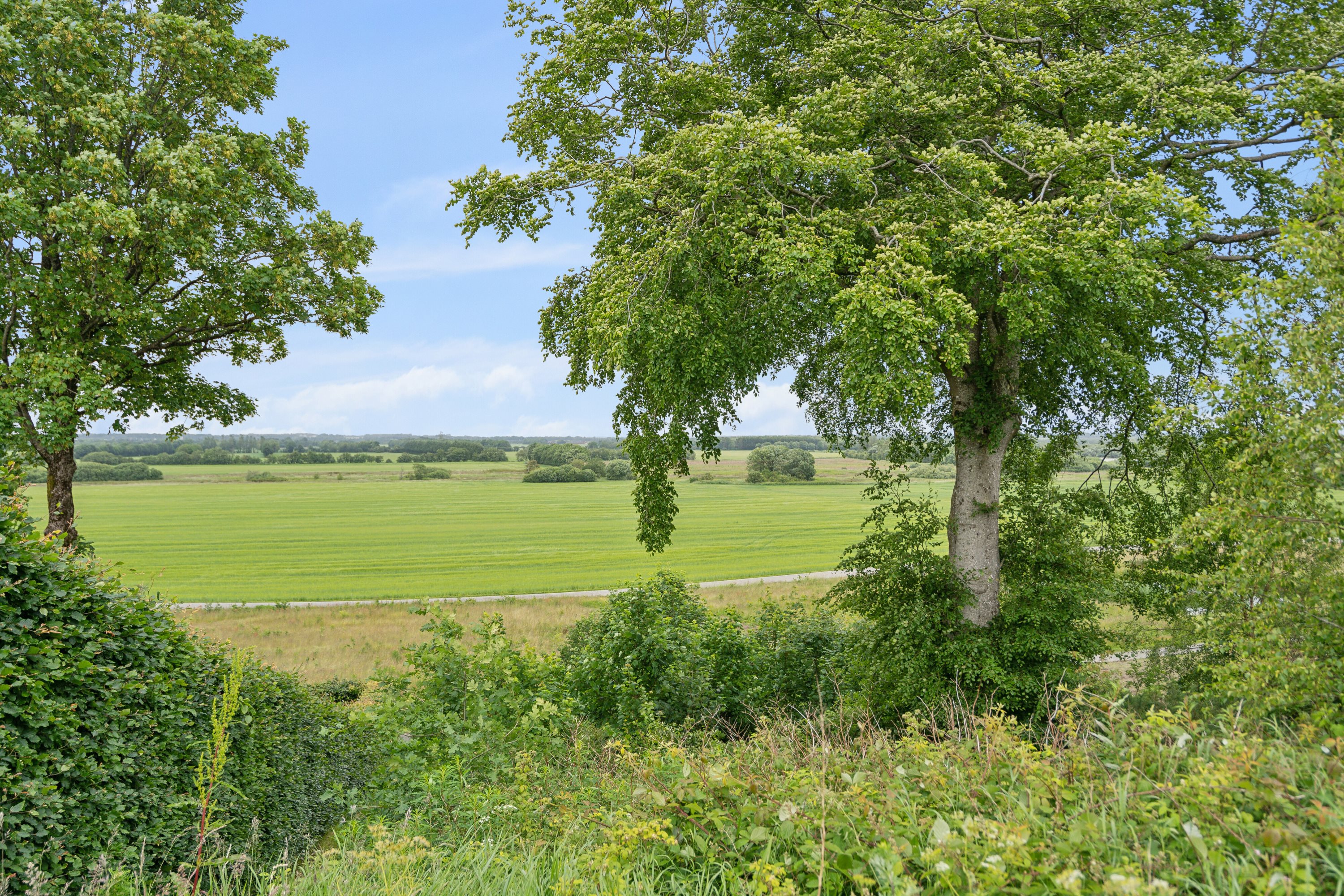 Fremhævet have billede i fuldskærmstilstand. Billede af Remmebakken 45, 7430 Ikast