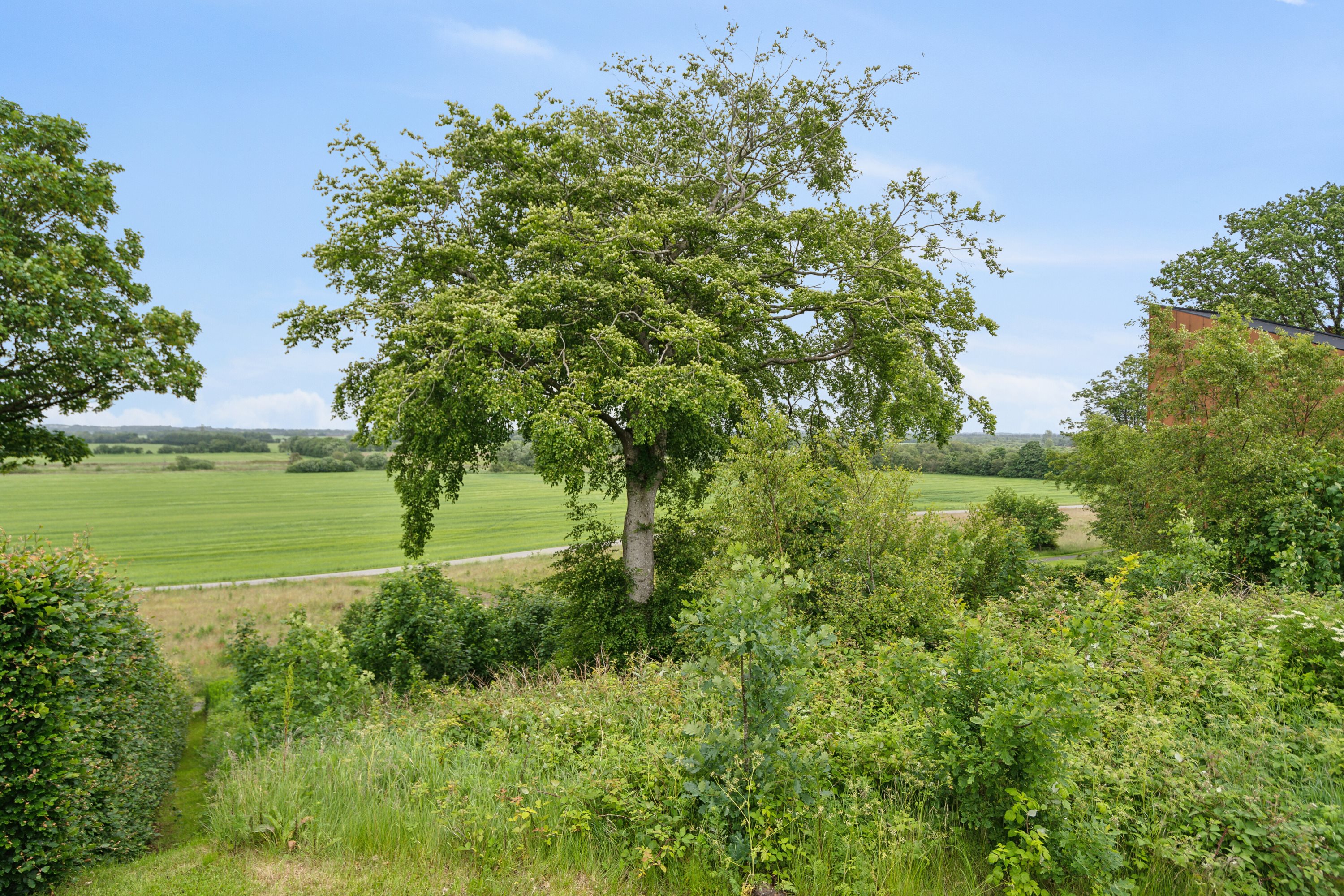 Fremhævet have billede i fuldskærmstilstand. Billede af Remmebakken 45, 7430 Ikast