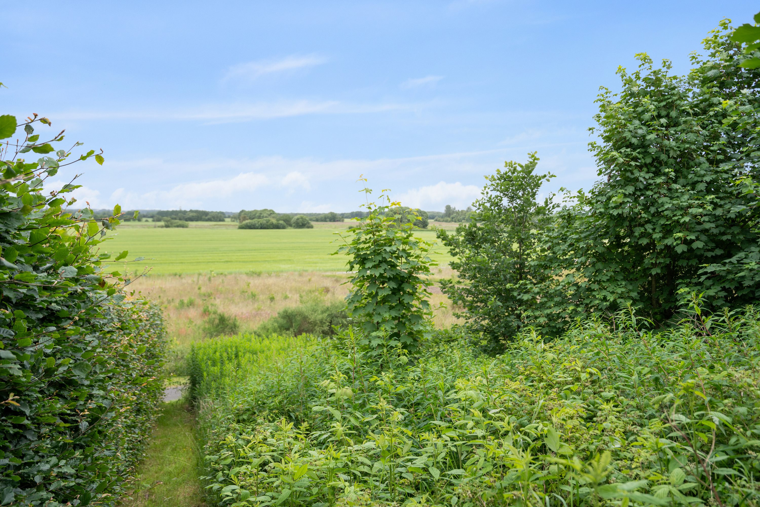 Fremhævet have billede i fuldskærmstilstand. Billede af Remmebakken 45, 7430 Ikast