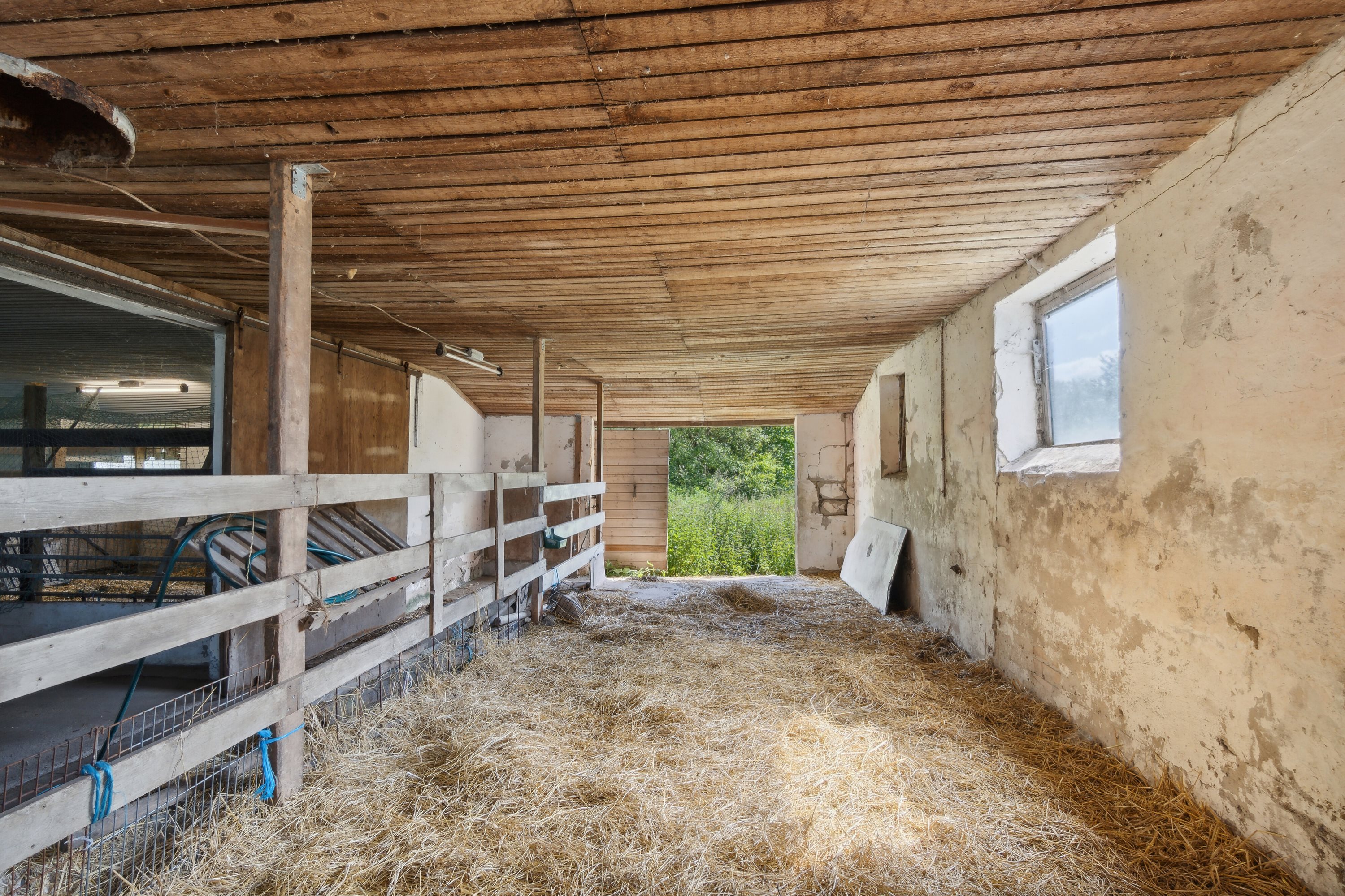 Fremhævet stald billede i fuldskærmstilstand. Billede af Gl Hirtshalsvej 2A, Vidstrup, 9800 Hjørring