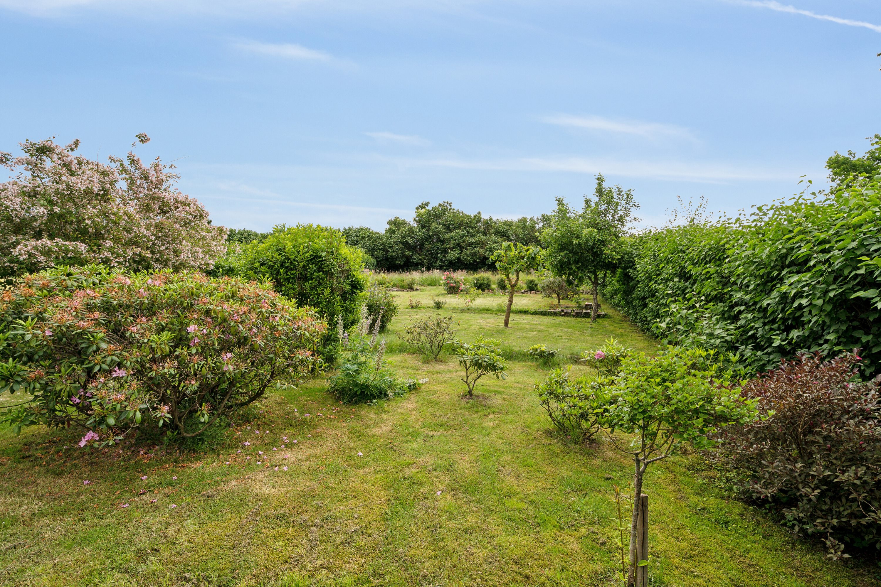 Fremhævet have billede i fuldskærmstilstand. Billede af Sandbjergvej 26, 5771 Stenstrup