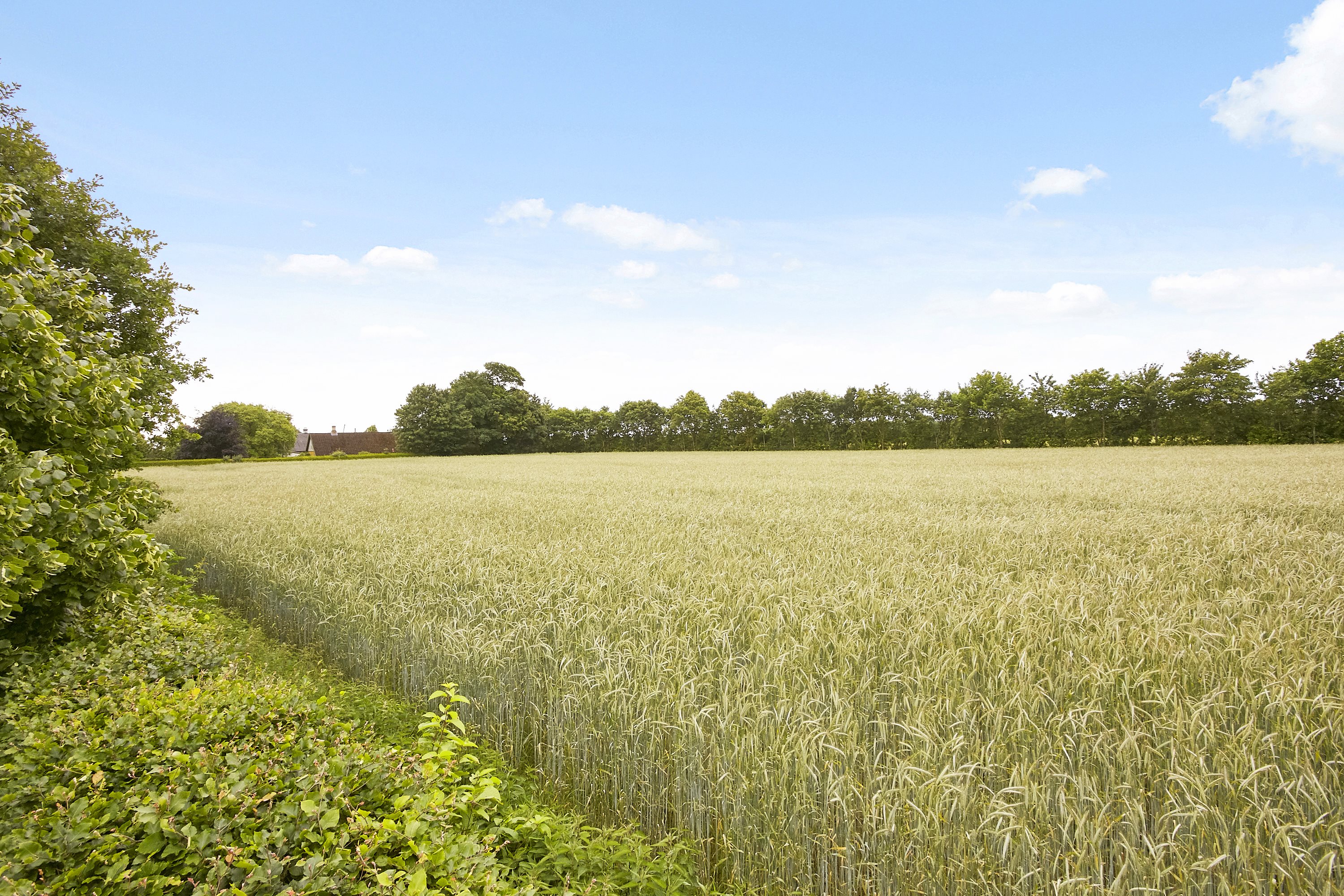 Fremhævet  billede i fuldskærmstilstand. Billede af Vandmøllevej 13, 8723 Løsning