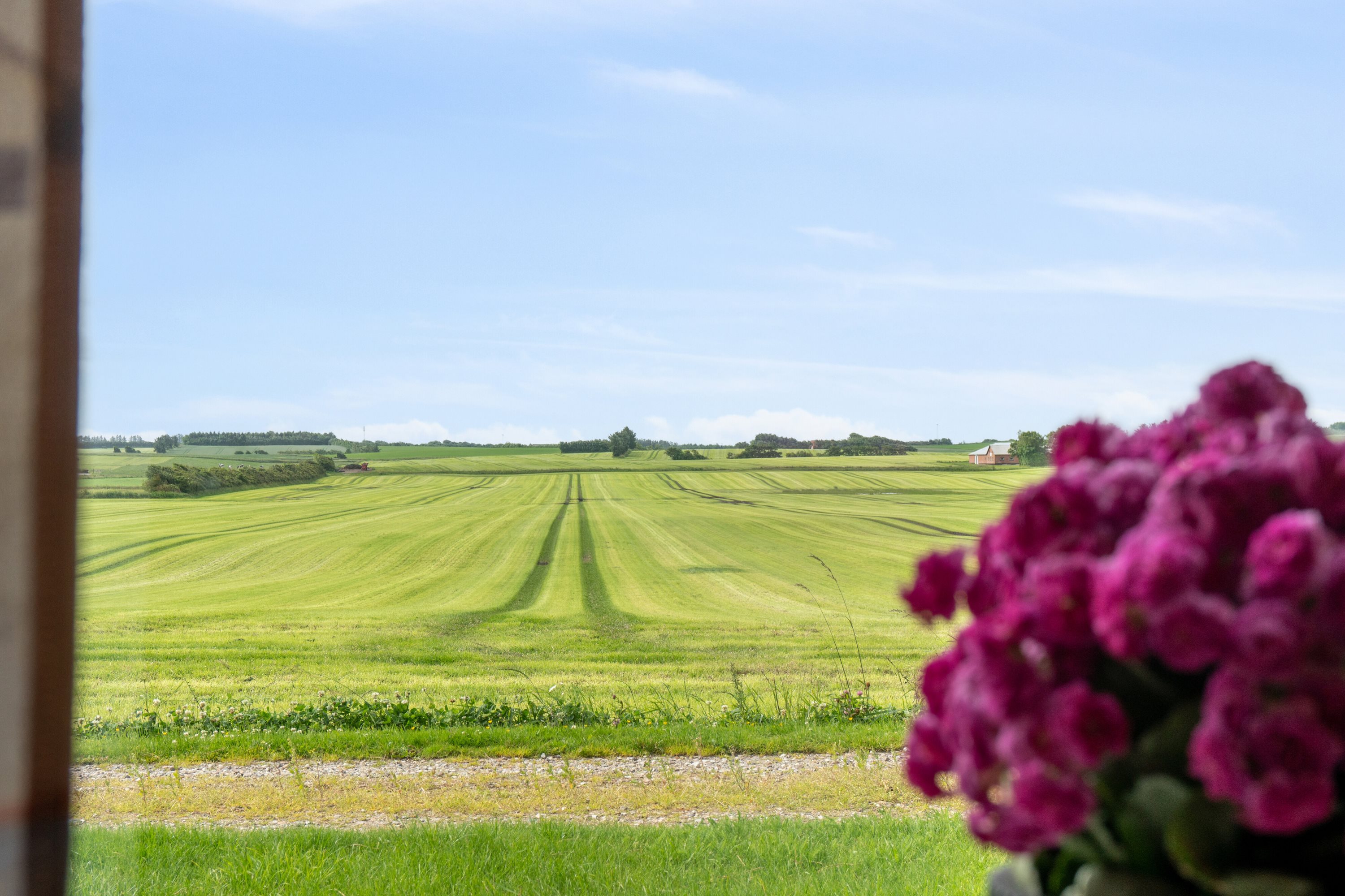 Fremhævet  billede i fuldskærmstilstand. Billede af Skellebjergvej 19, 7755 Bedsted Thy