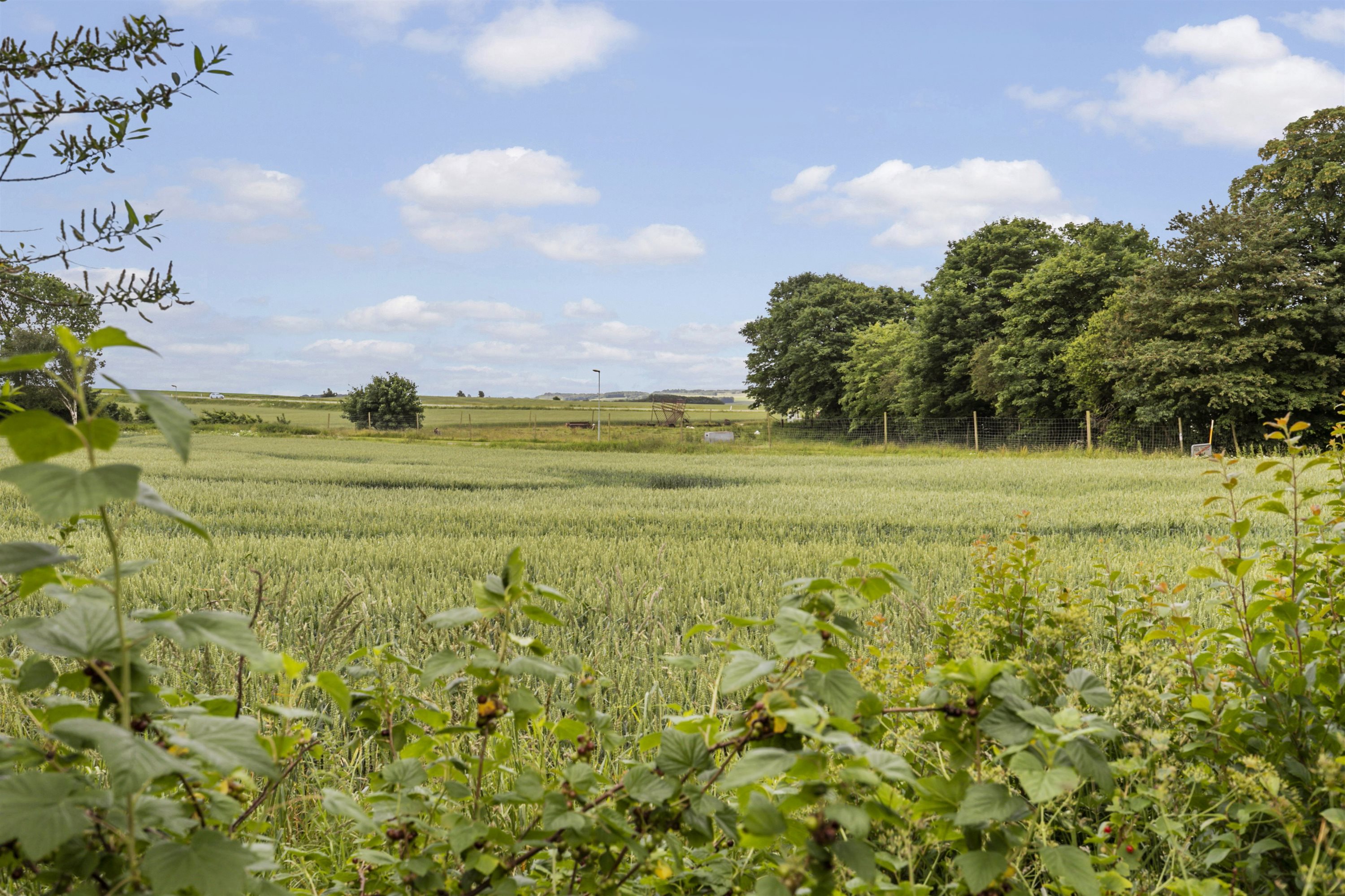 Fremhævet grunden billede i fuldskærmstilstand. Billede af Gammel Hobrovej 3, Bonderup, 9610 Nørager