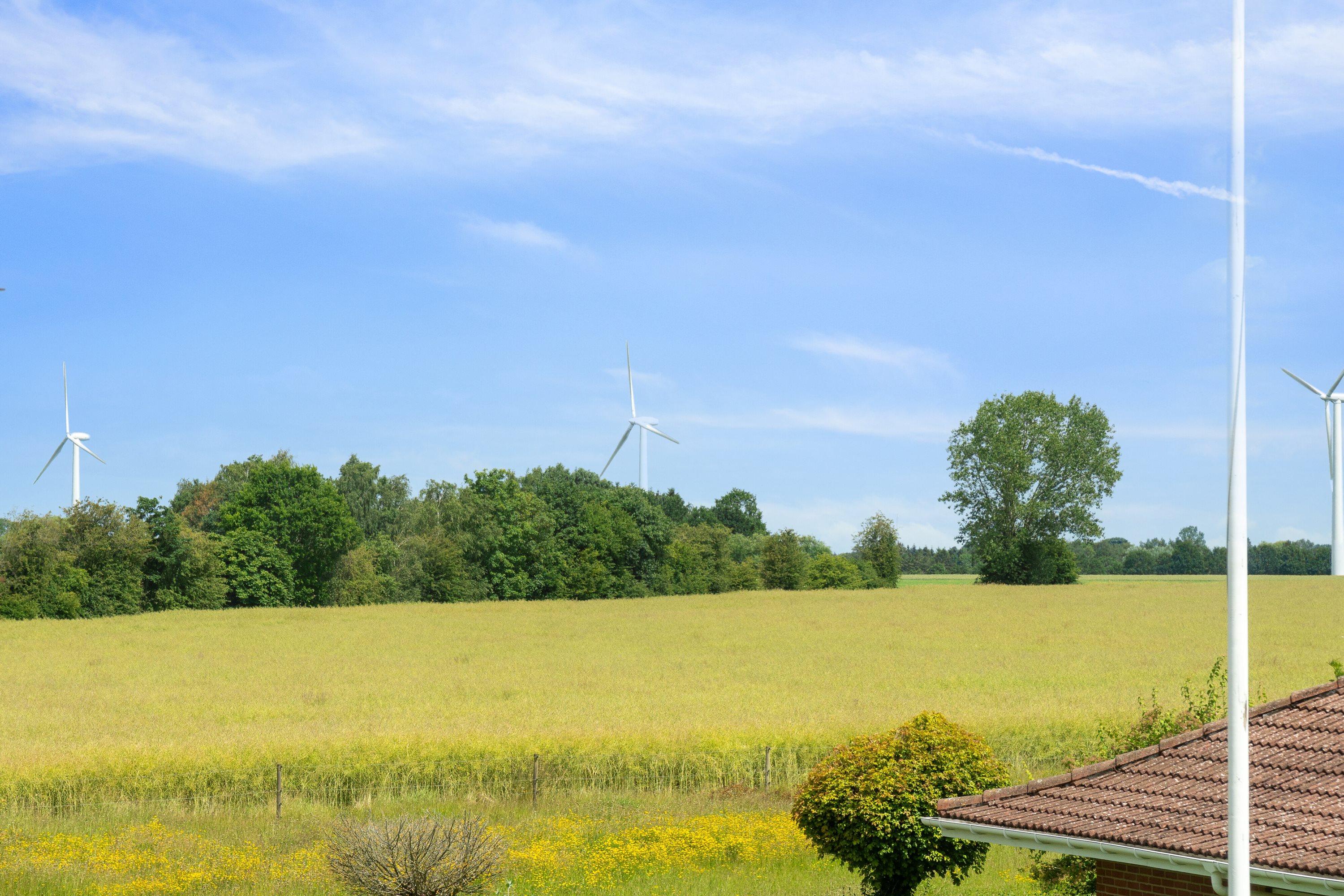 Fremhævet udendørs billede i fuldskærmstilstand. Billede af Teestrup Nedenvej 28B, 4690 Haslev