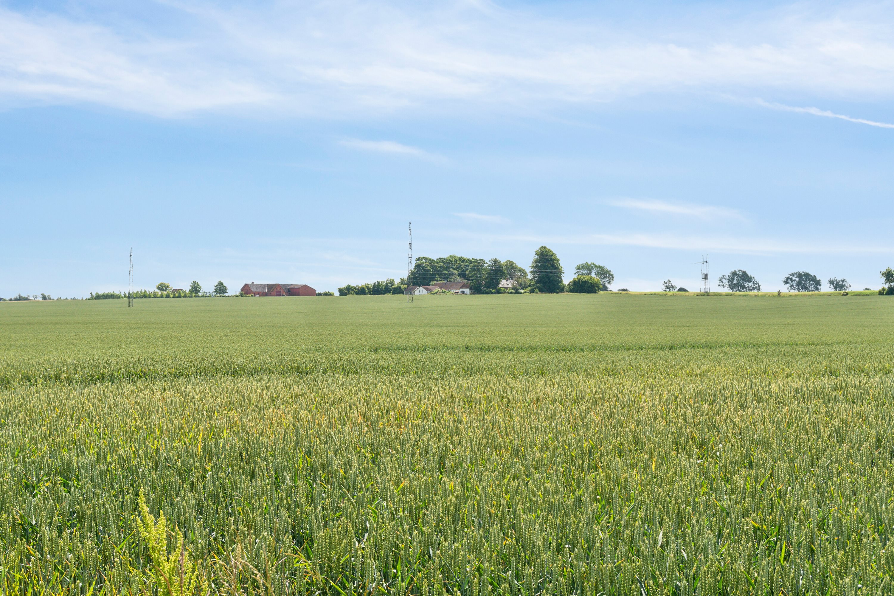 Fremhævet udendørs billede i fuldskærmstilstand. Billede af Teestrup Nedenvej 28B, 4690 Haslev