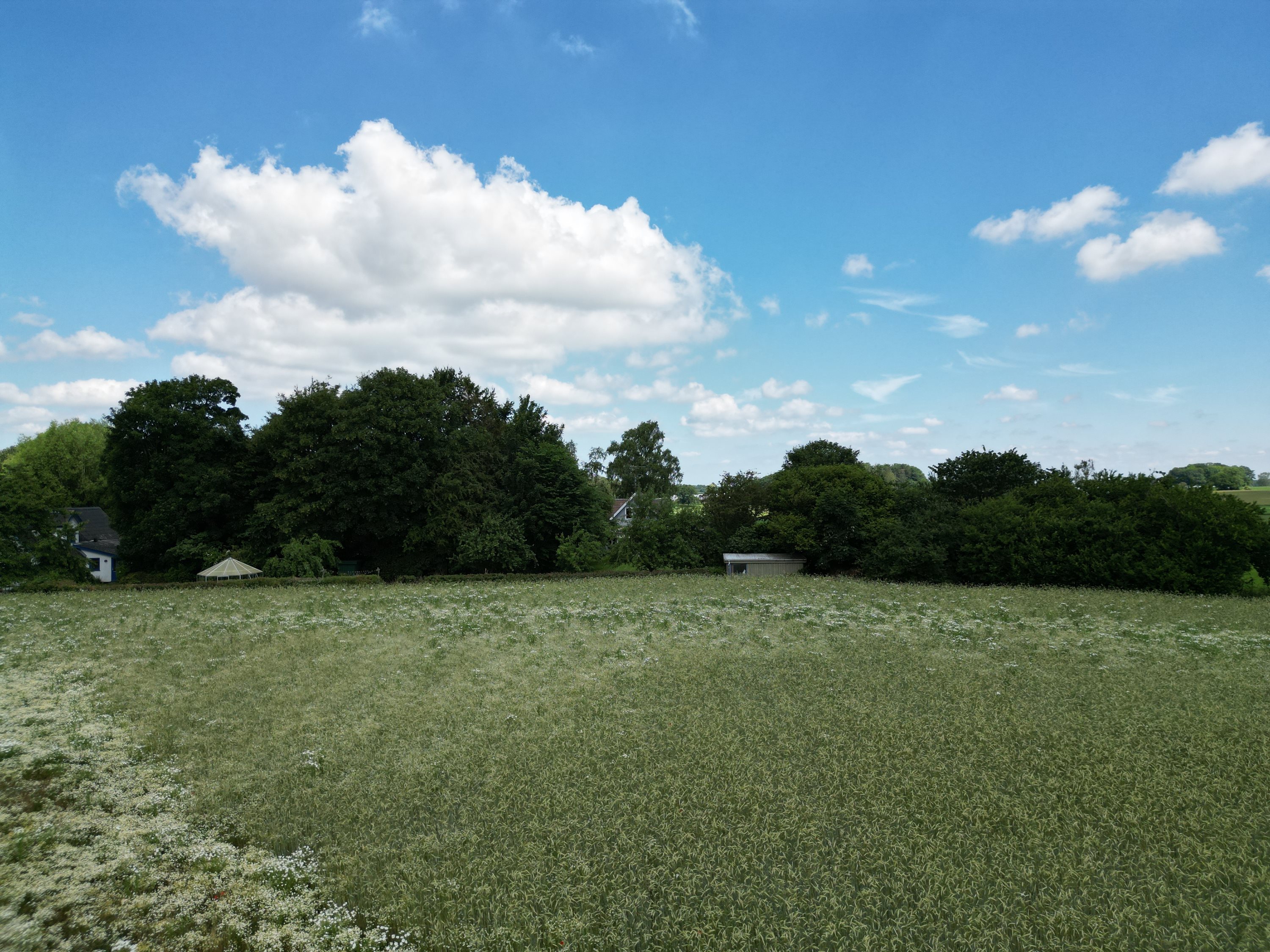 Fremhævet  billede i fuldskærmstilstand. Billede af Mannerupvej 44, Mannerup, 4320 Lejre