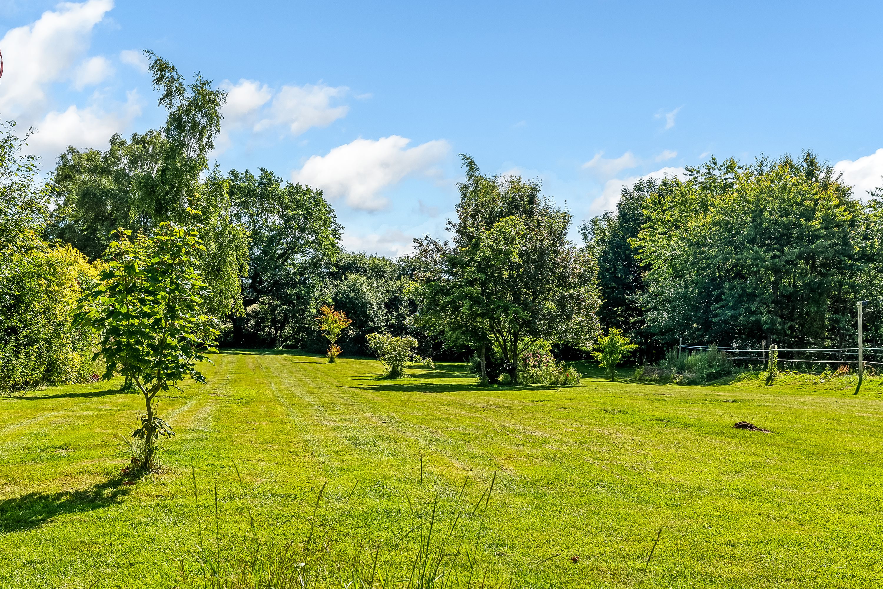 Fremhævet have billede i fuldskærmstilstand. Billede af Drenderupvej 12, Ødis Bramdr, 6580 Vamdrup