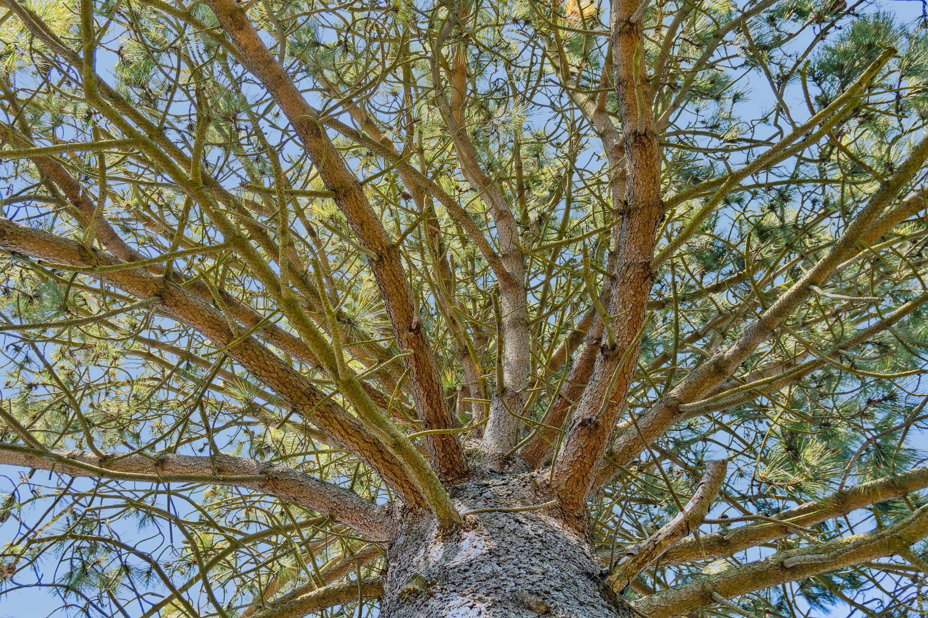 Fremhævet udendørs billede i fuldskærmstilstand. Billede af Møllebakken 59, 4581 Rørvig
